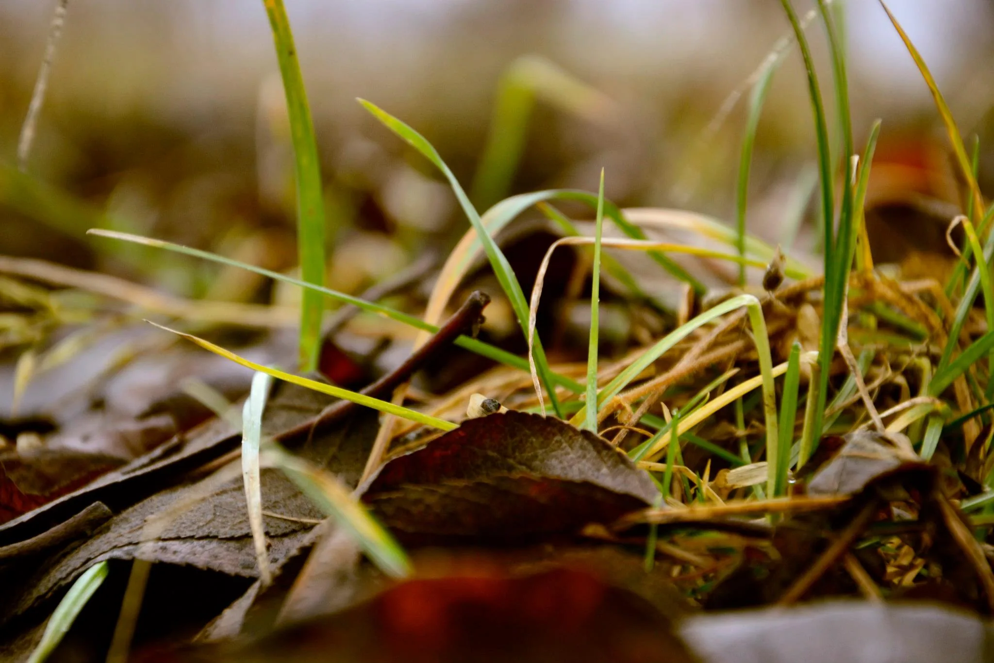 25.08.2012 - 17.05.2013 Świat wokół Nas