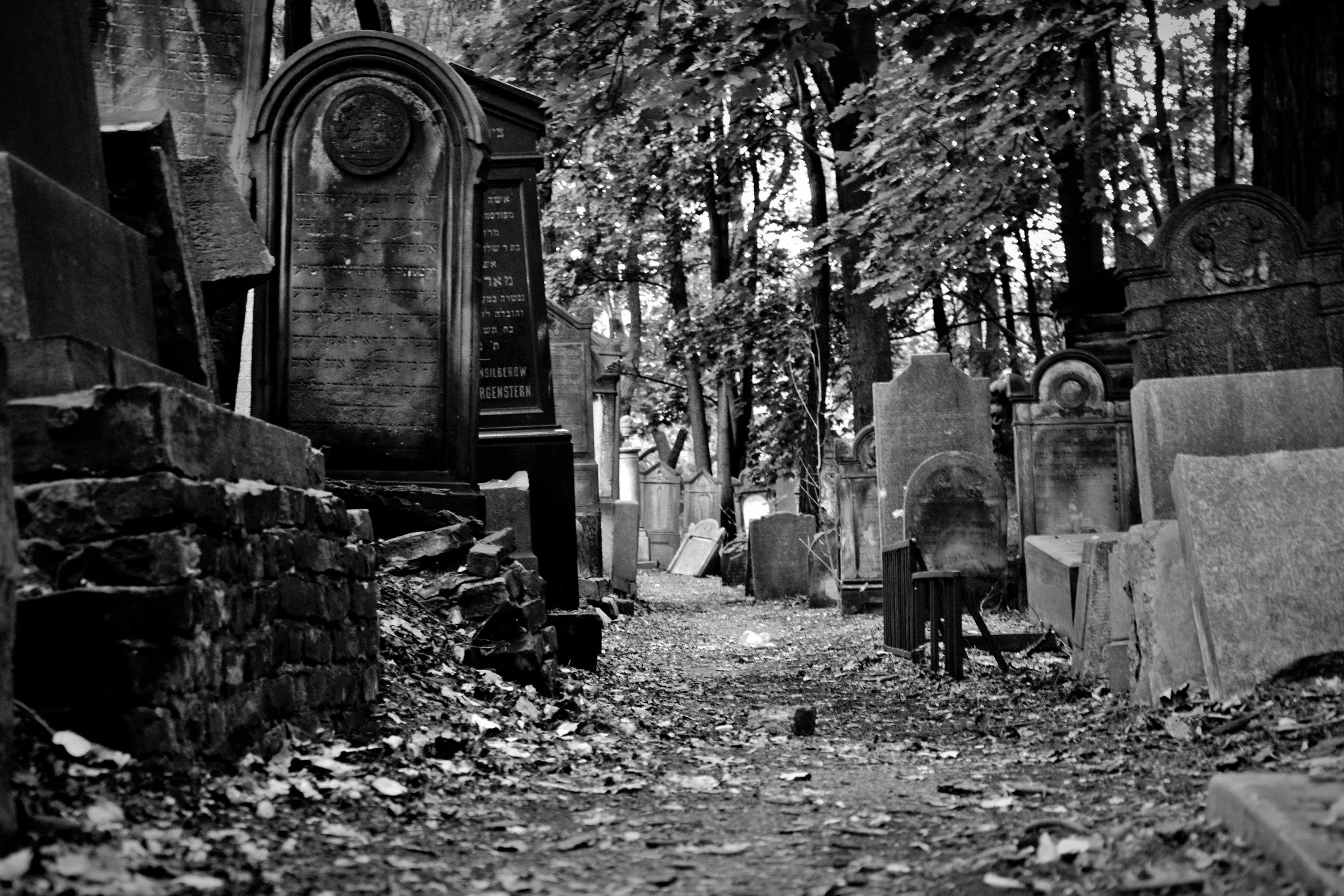 25.08.2012 - 17.05.2013 Świat wokół Nas