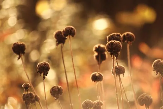 25.08.2012 - 17.05.2013 Świat wokół Nas