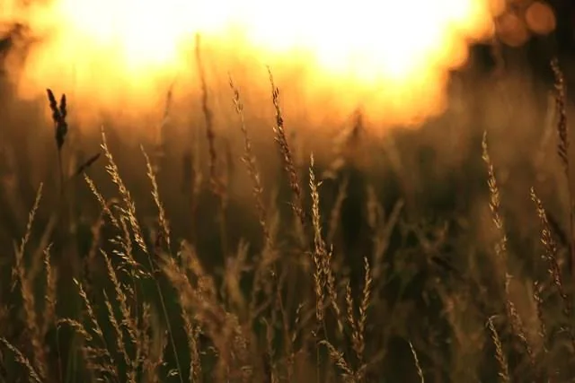 25.08.2012 - 17.05.2013 Świat wokół Nas