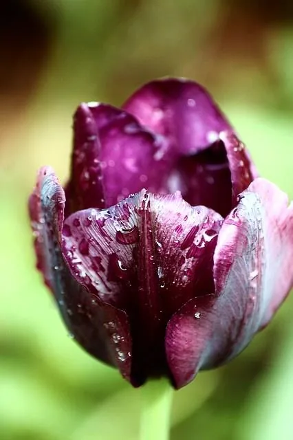 25.08.2012 - 17.05.2013 Świat wokół Nas