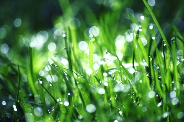 25.08.2012 - 17.05.2013 Świat wokół Nas