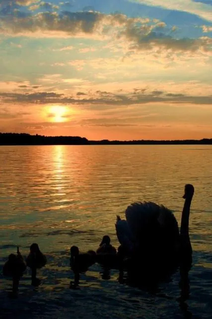 25.08.2012 - 17.05.2013 Świat wokół Nas