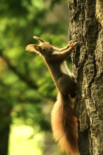25.08.2012 - 17.05.2013 Świat wokół Nas