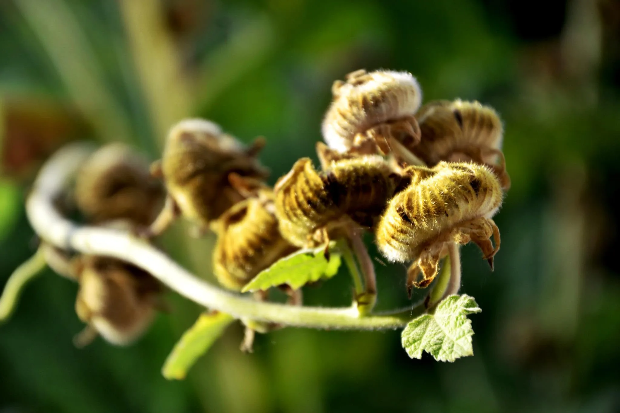 25.08.2012 - 17.05.2013 Świat wokół Nas