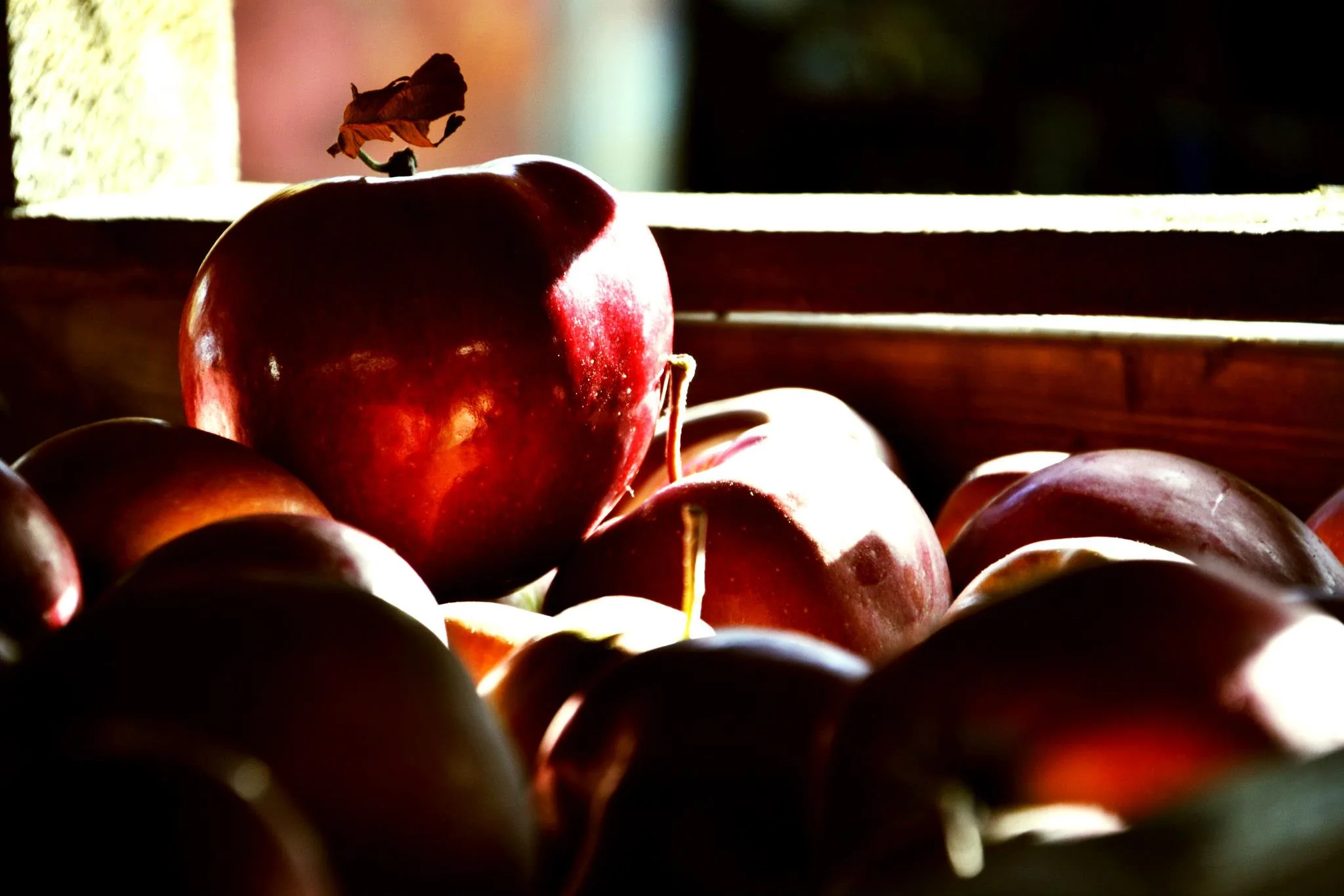 25.08.2012 - 17.05.2013 Świat wokół Nas