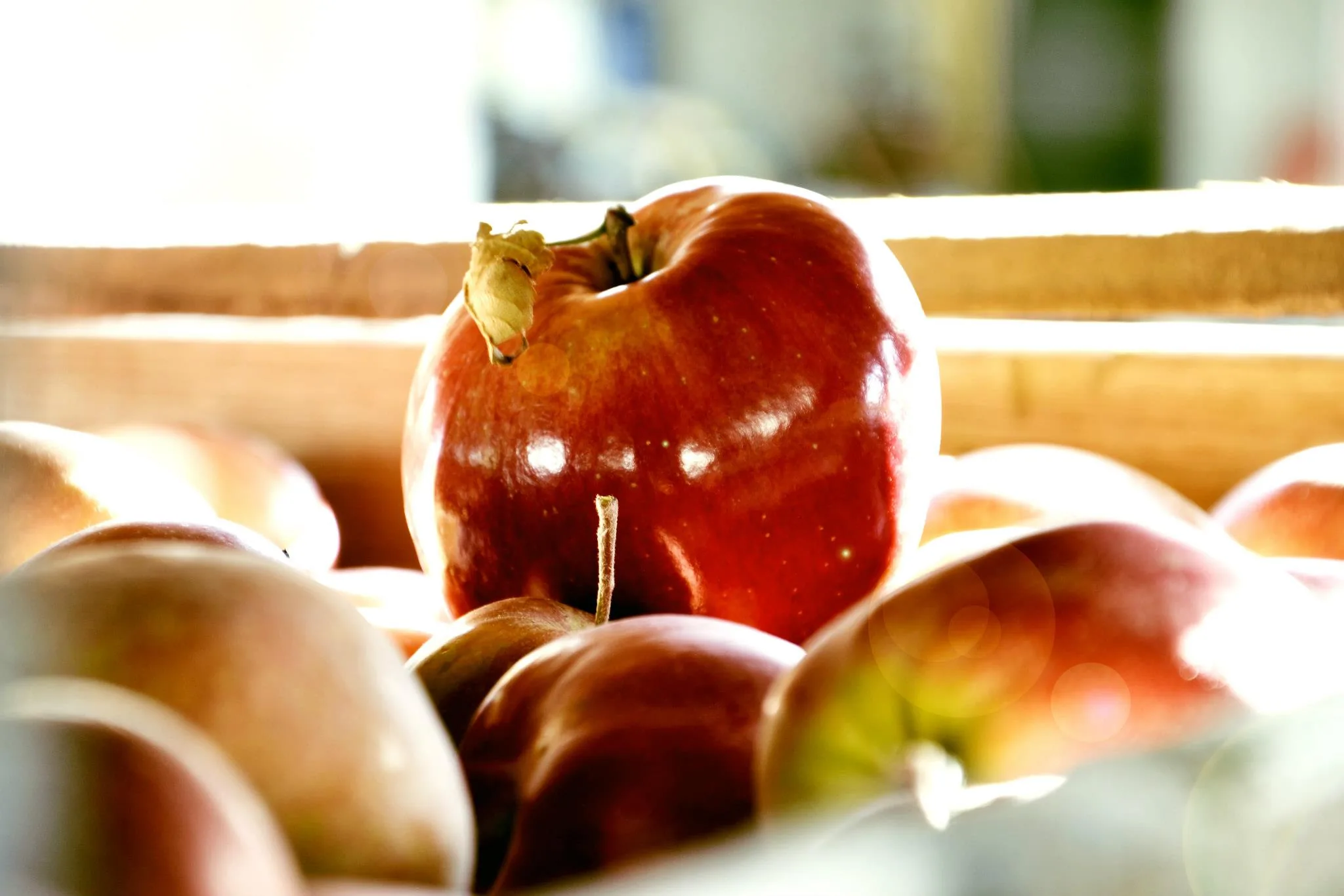 25.08.2012 - 17.05.2013 Świat wokół Nas