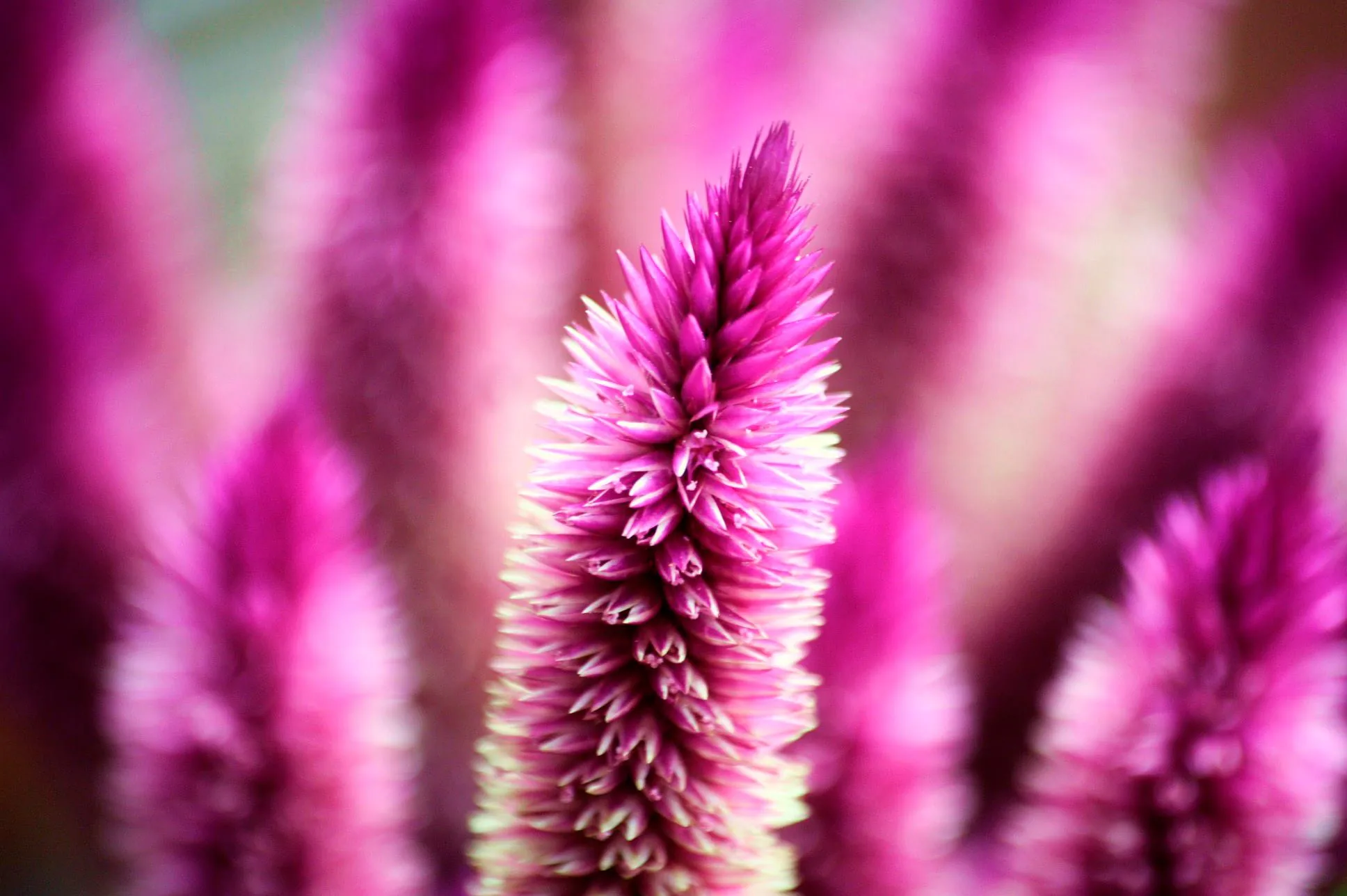 25.08.2012 - 17.05.2013 Świat wokół Nas