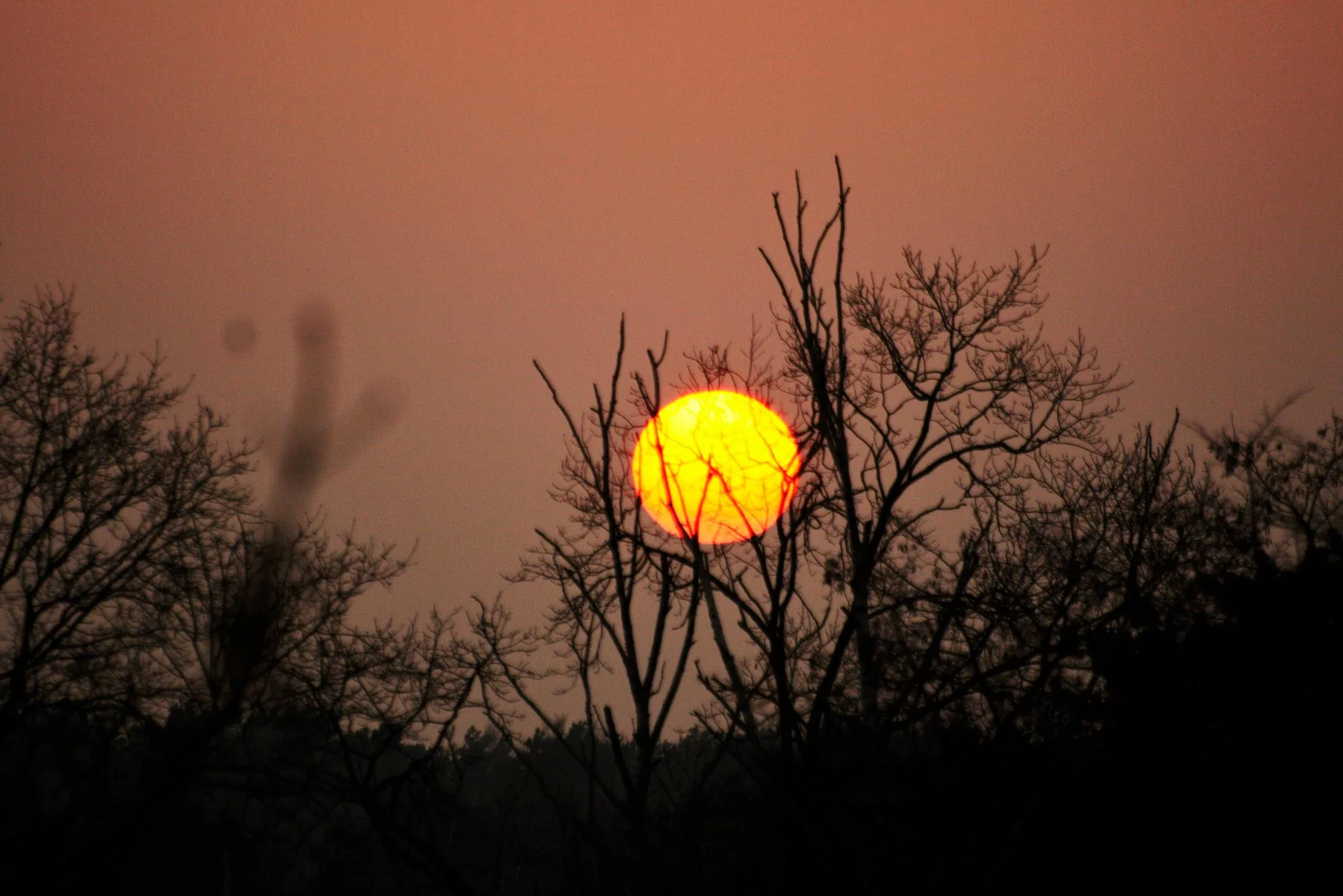 25.08.2012 - 17.05.2013 Świat wokół Nas