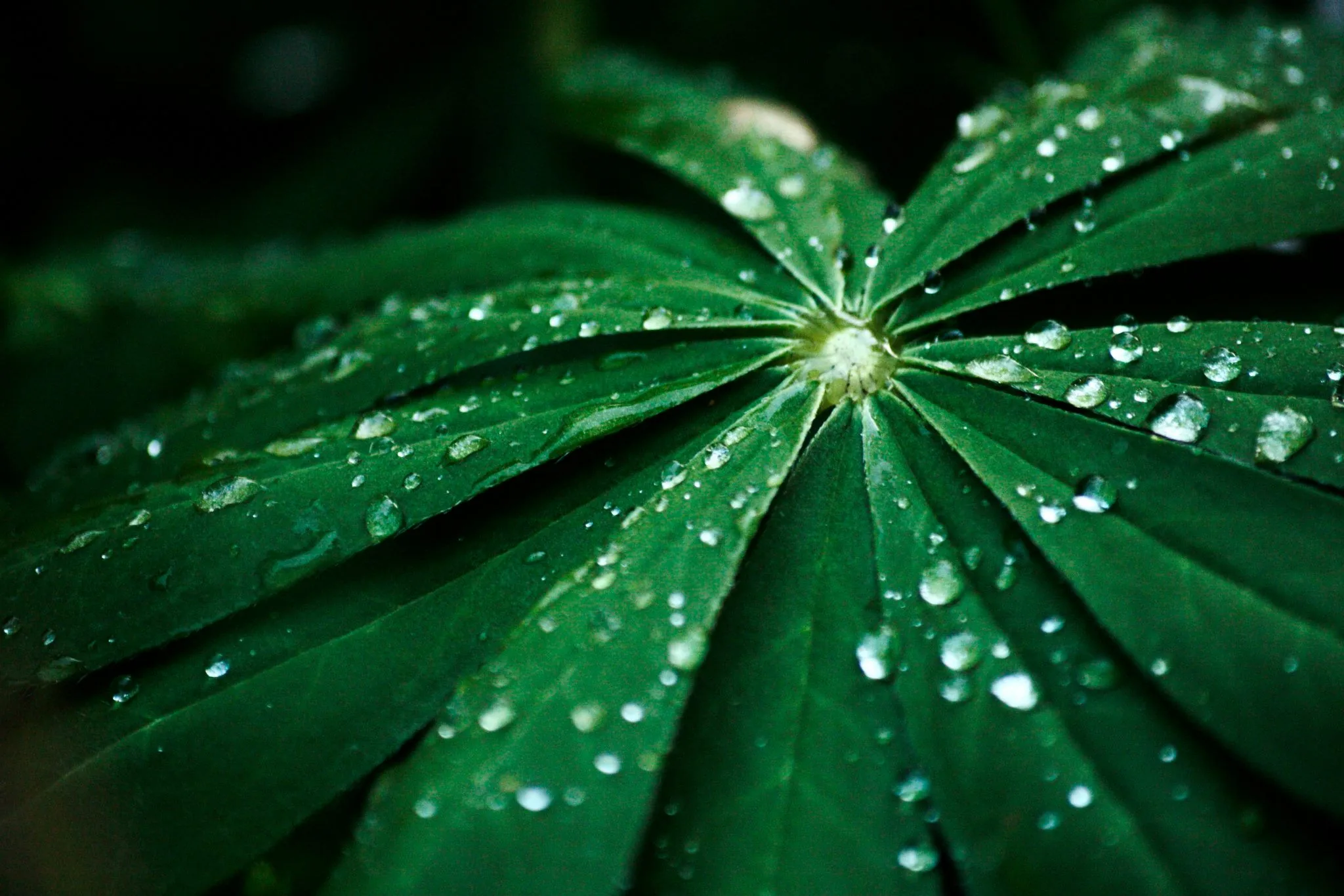 25.08.2012 - 17.05.2013 Świat wokół Nas