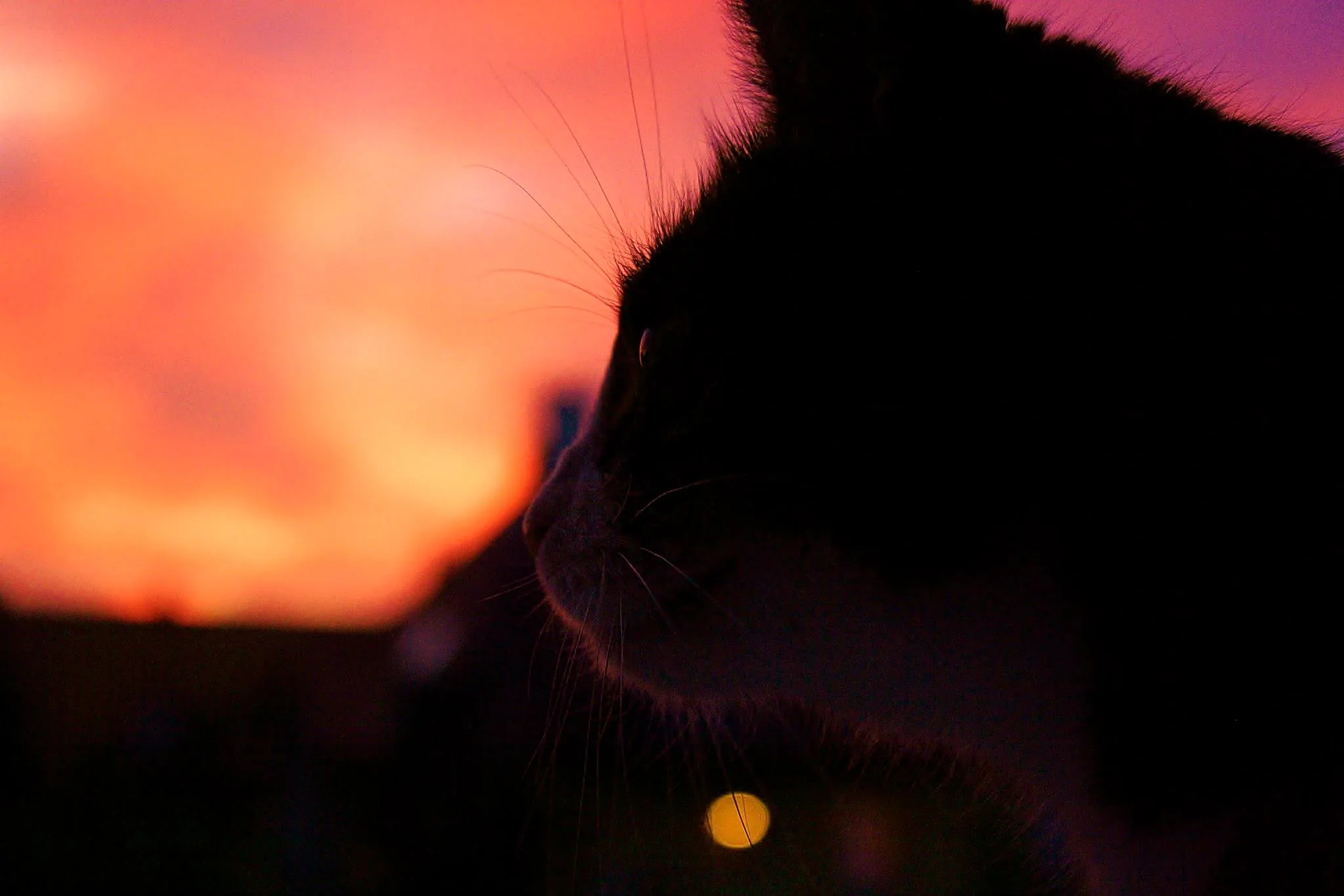 25.08.2012 - 17.05.2013 Świat wokół Nas