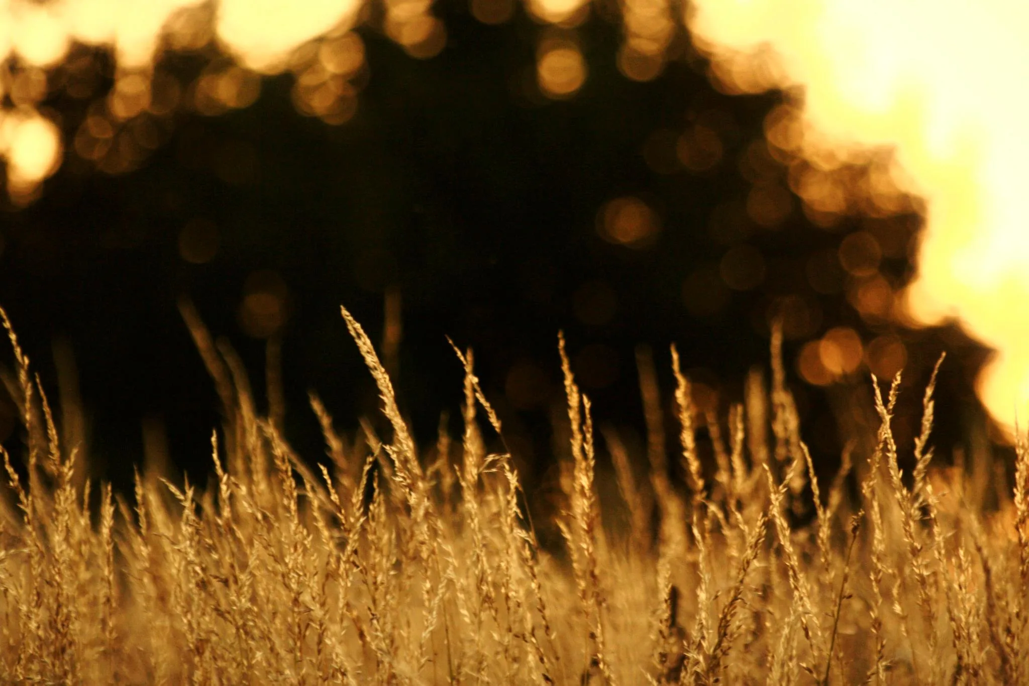 25.08.2012 - 17.05.2013 Świat wokół Nas