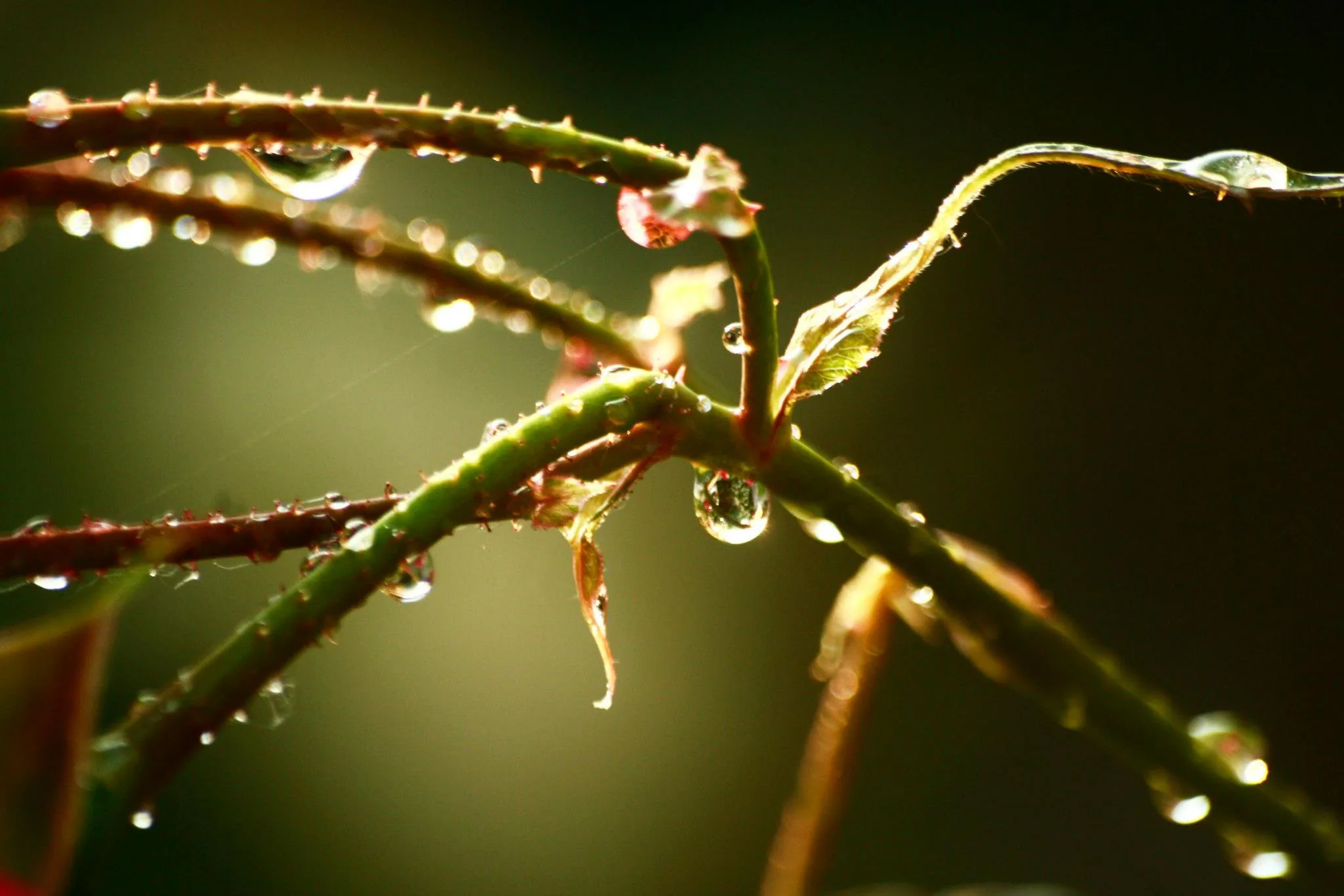 25.08.2012 - 17.05.2013 Świat wokół Nas