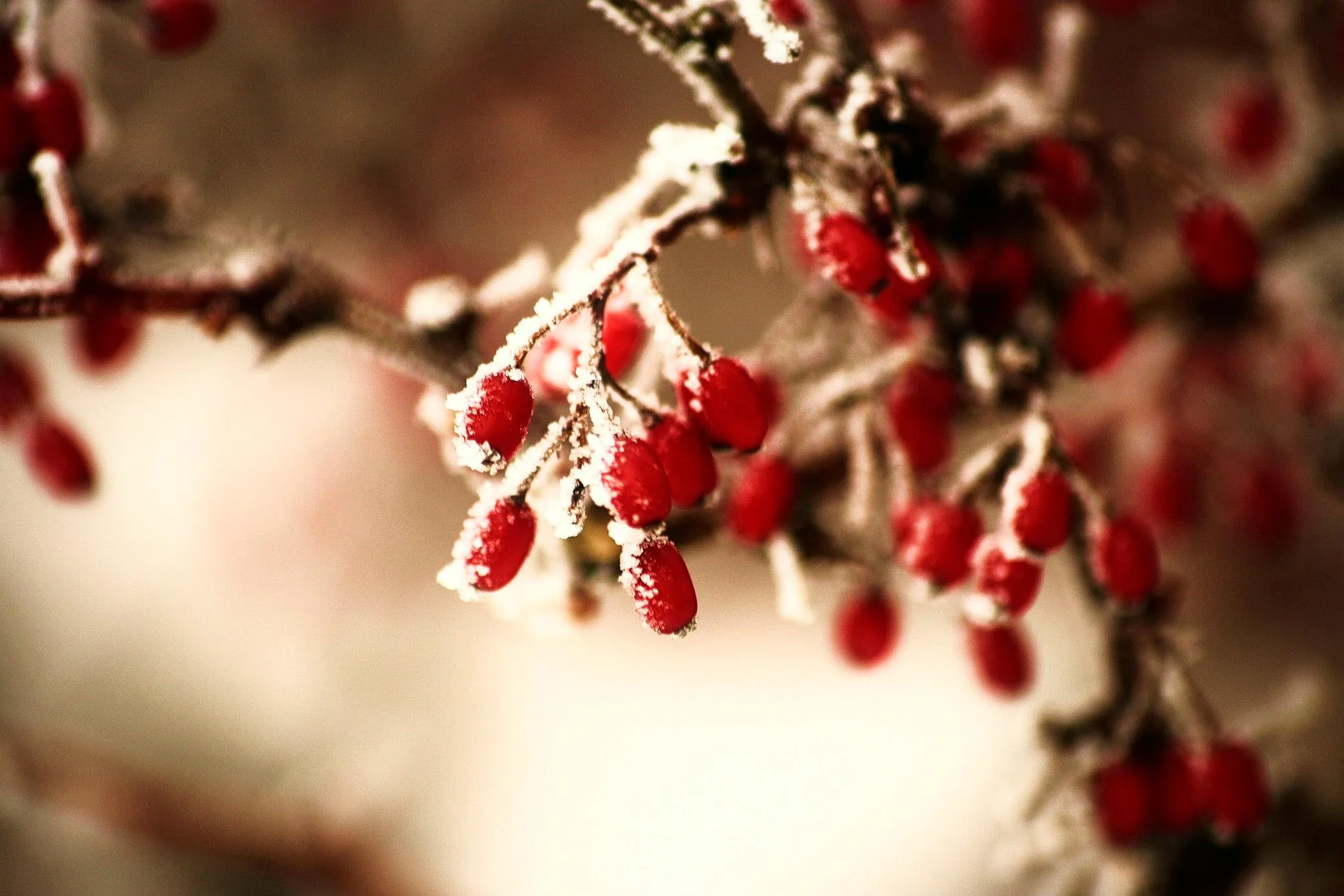 25.08.2012 - 17.05.2013 Świat wokół Nas