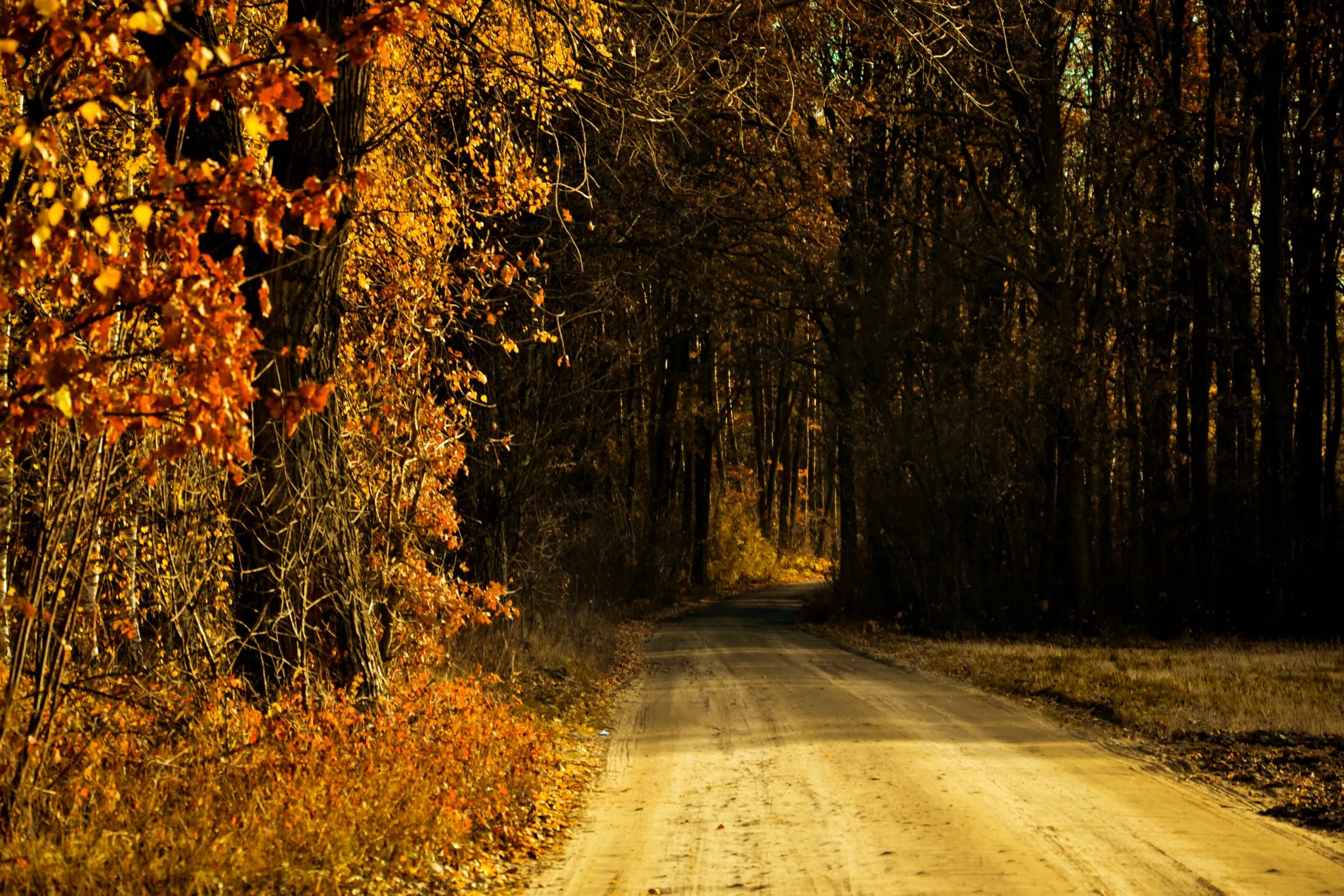 25.08.2012 - 17.05.2013 Świat wokół Nas