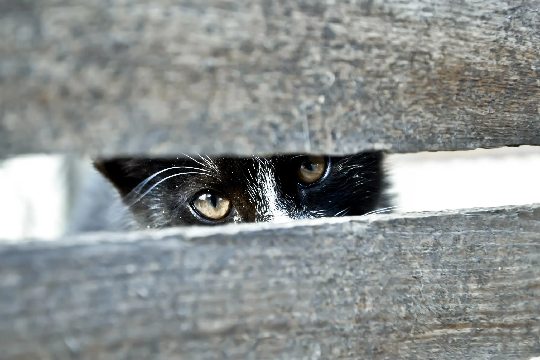 25.08.2012 - 17.05.2013 Świat wokół Nas