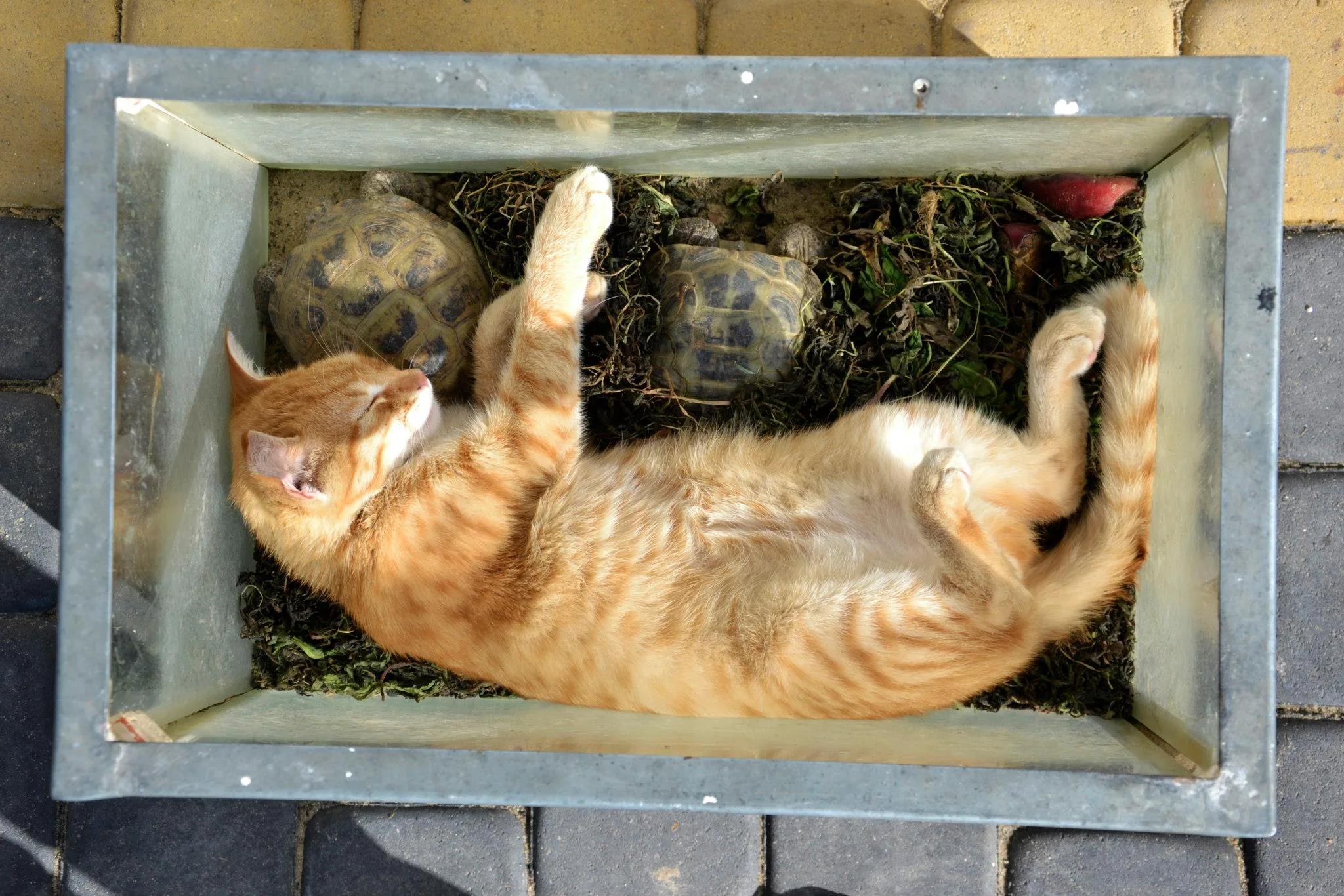 25.08.2012 - 17.05.2013 Świat wokół Nas