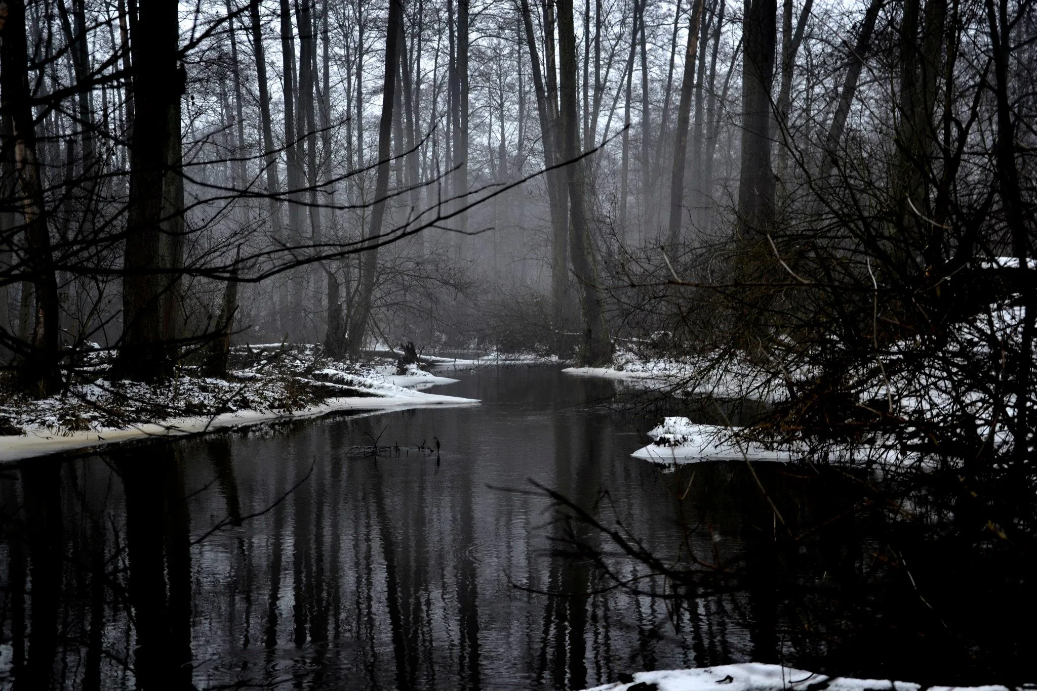 25.08.2012 - 17.05.2013 Świat wokół Nas