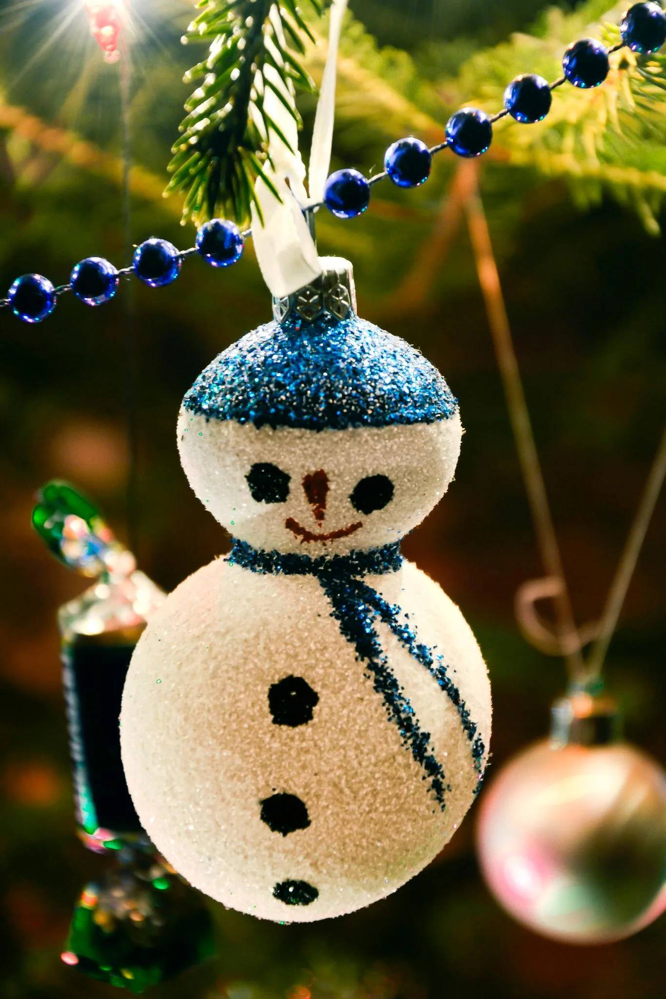 25.08.2012 - 17.05.2013 Świat wokół Nas