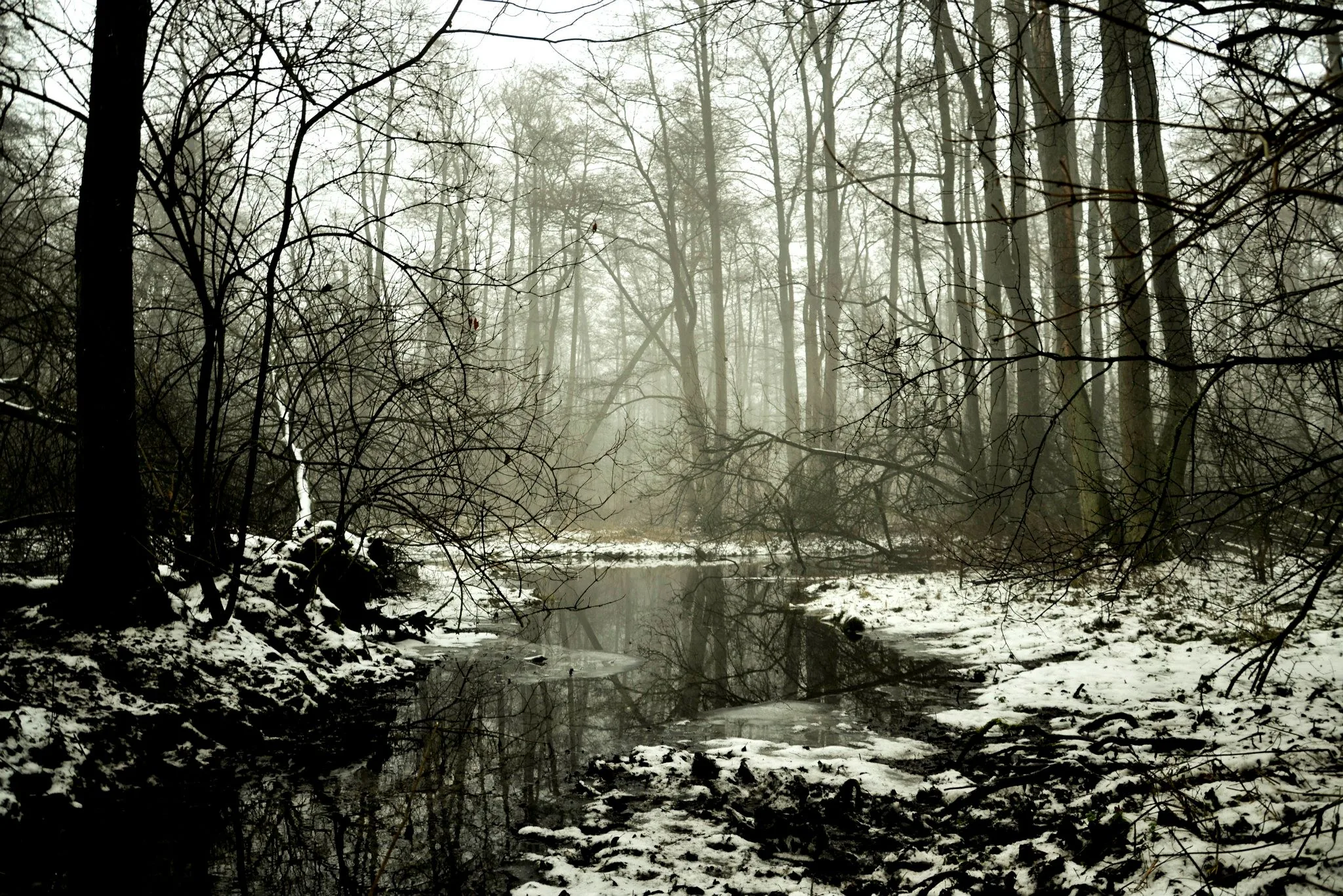 25.08.2012 - 17.05.2013 Świat wokół Nas