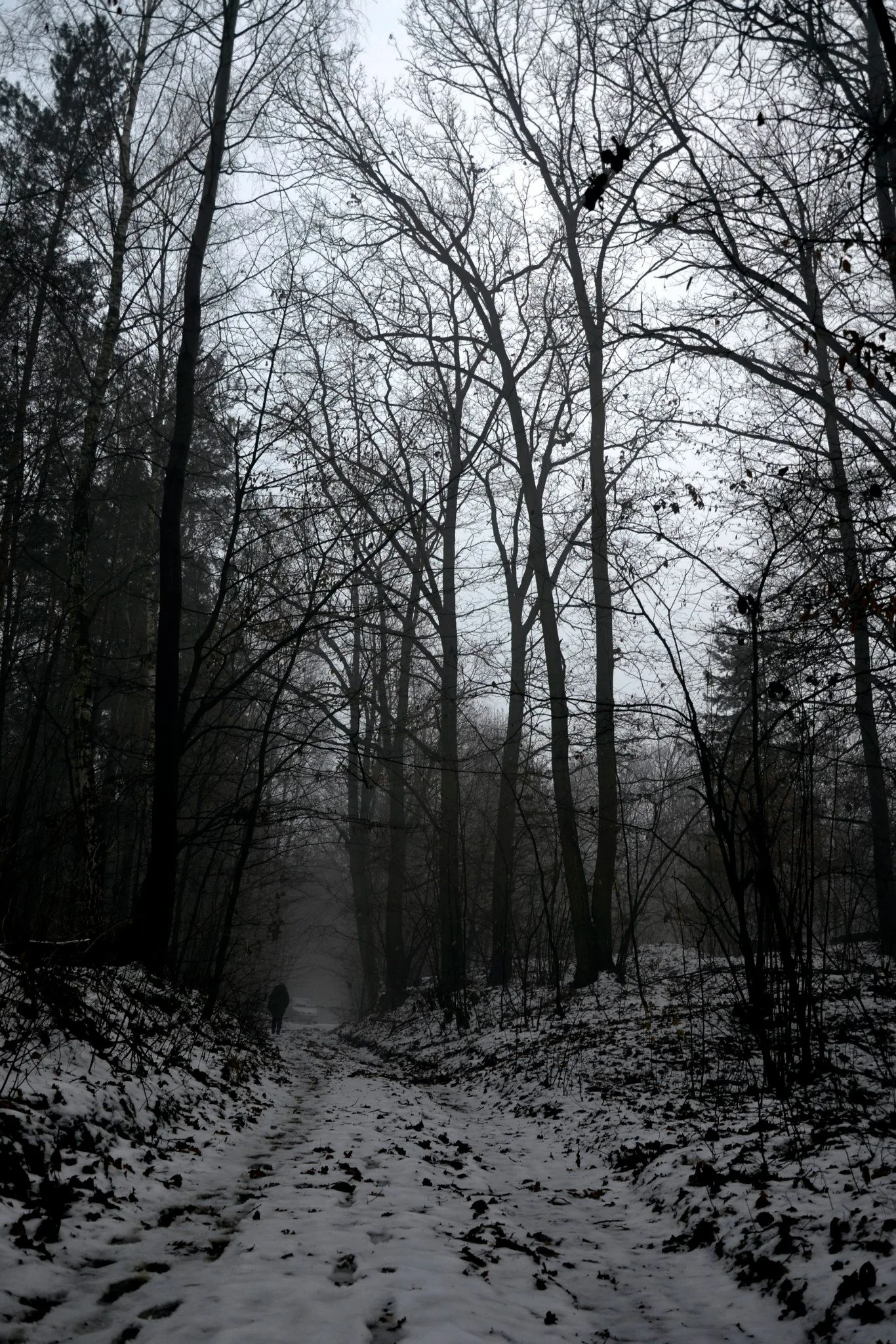 25.08.2012 - 17.05.2013 Świat wokół Nas