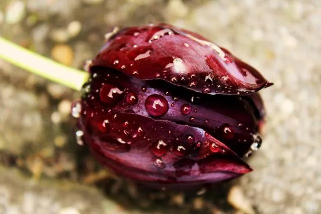 25.08.2012 - 17.05.2013 Świat wokół Nas