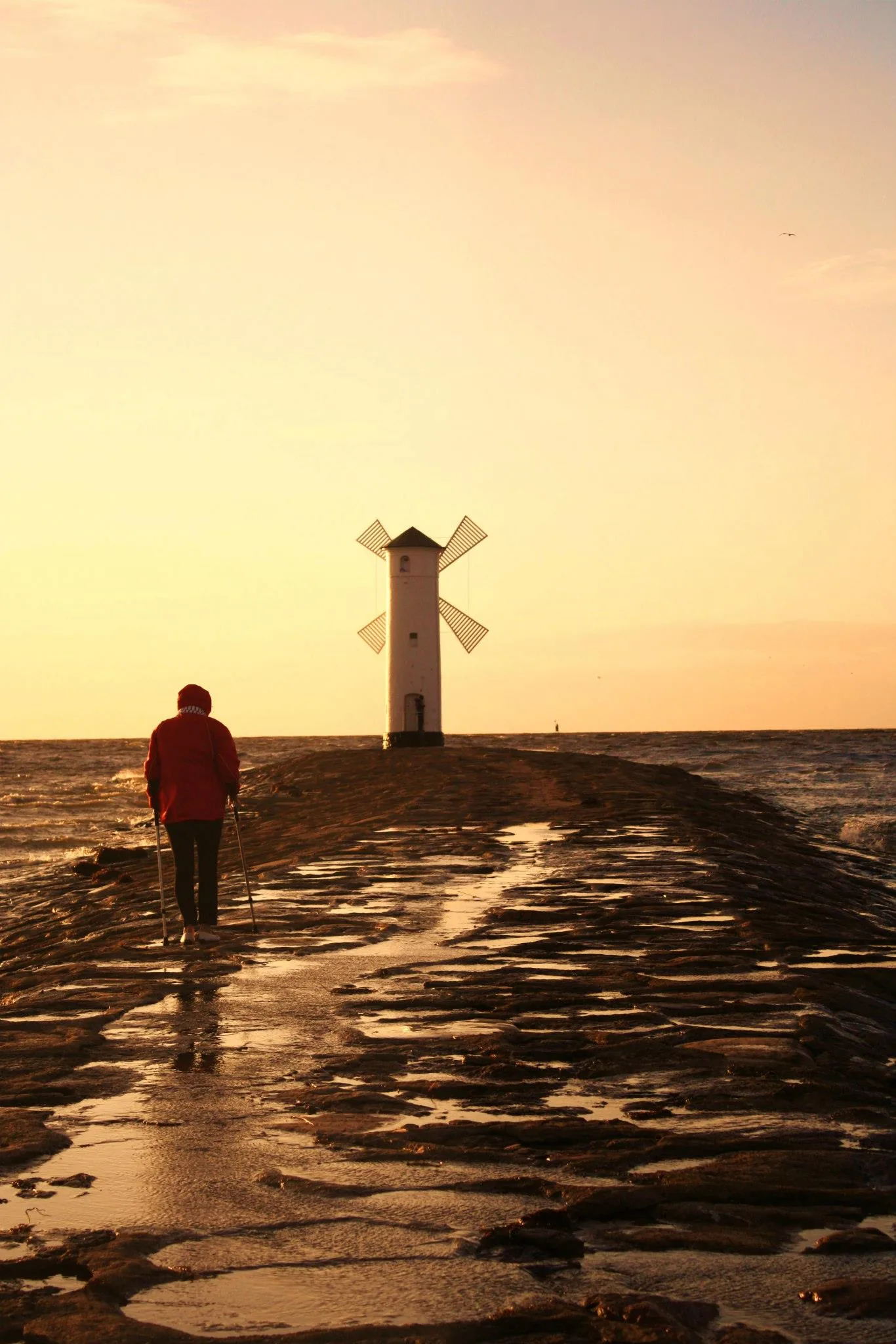 25.08.2012 - 17.05.2013 Świat wokół Nas