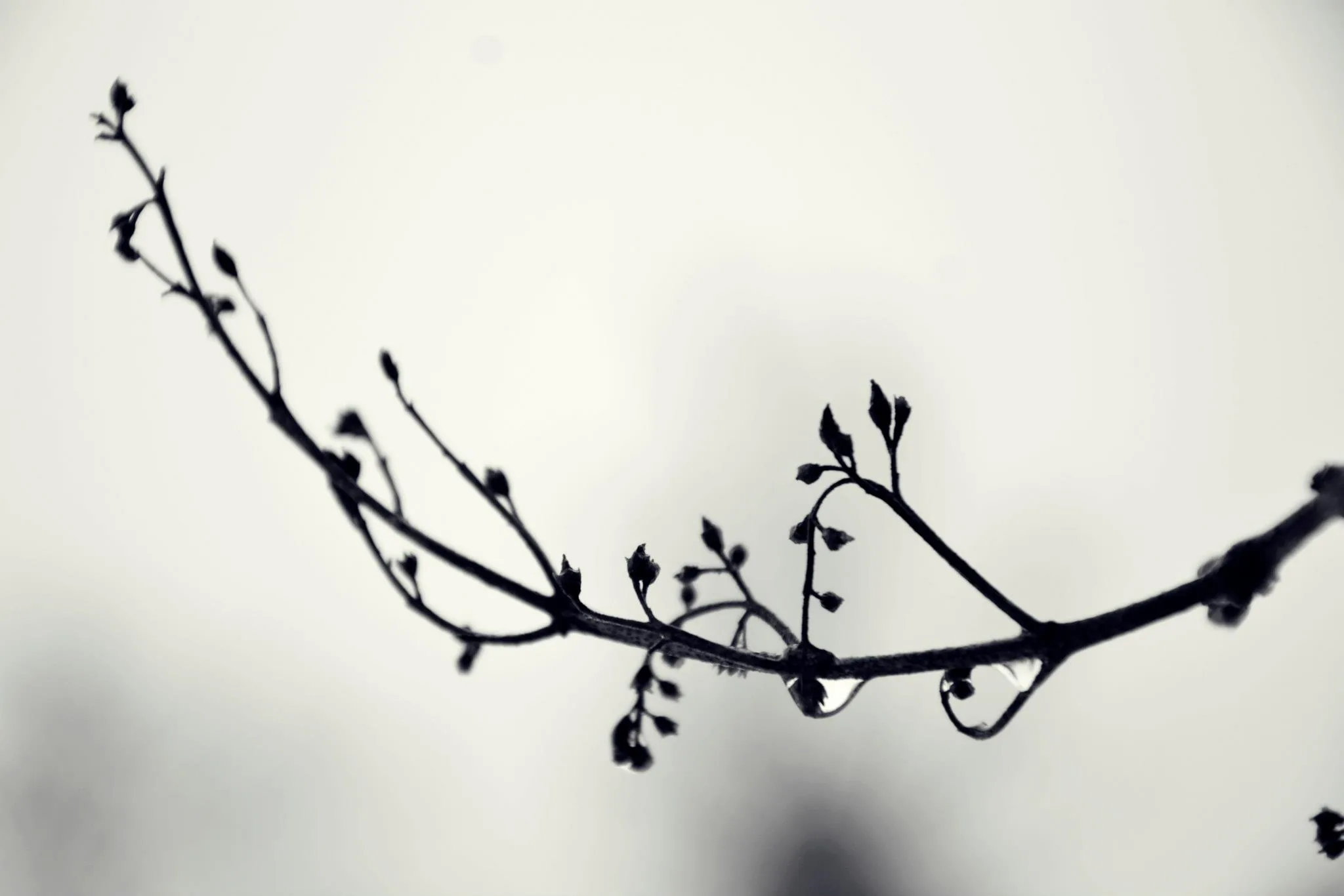 25.08.2012 - 17.05.2013 Świat wokół Nas