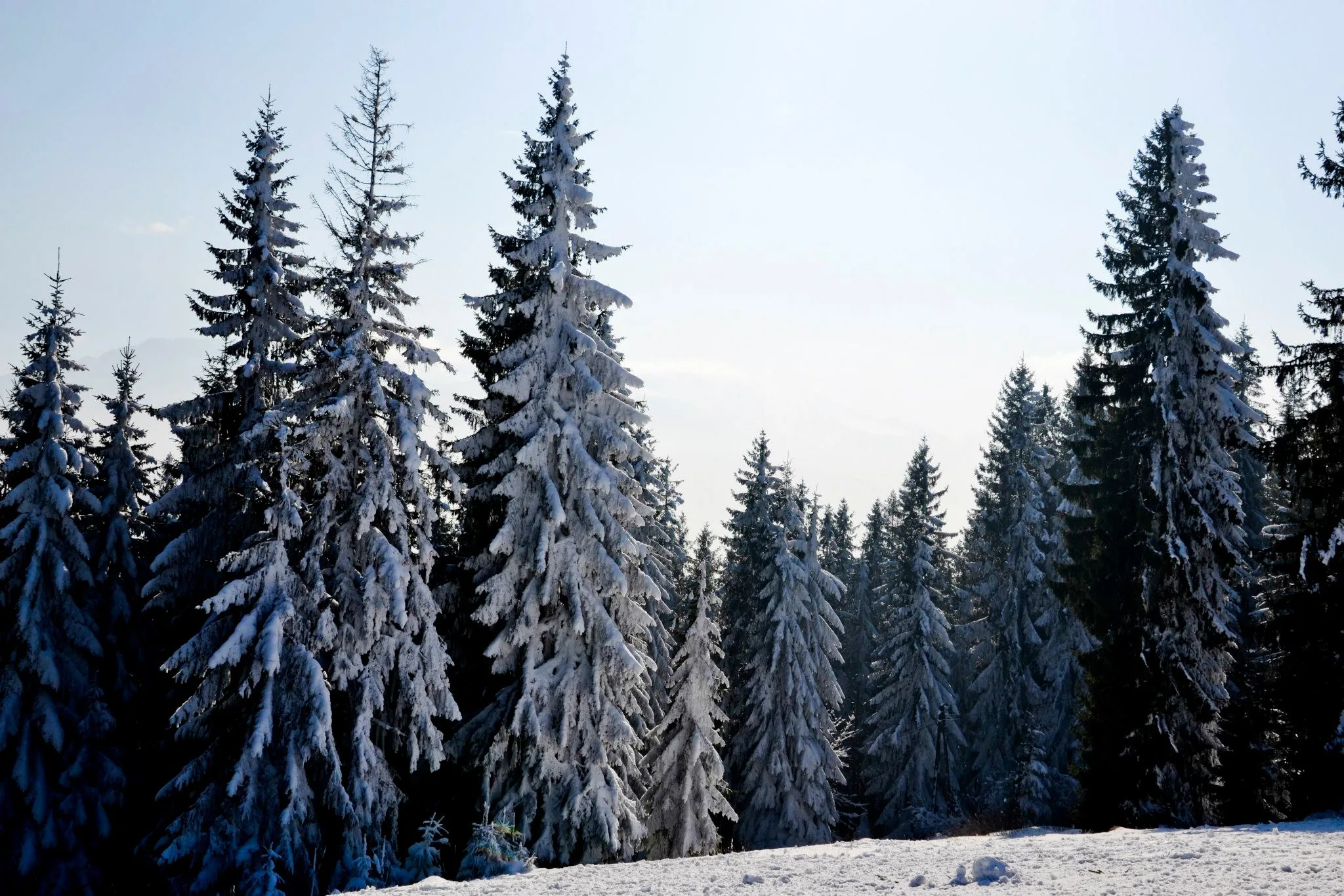 25.08.2012 - 17.05.2013 Świat wokół Nas