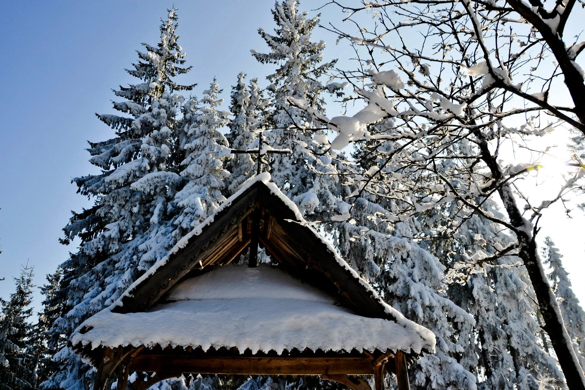 25.08.2012 - 17.05.2013 Świat wokół Nas