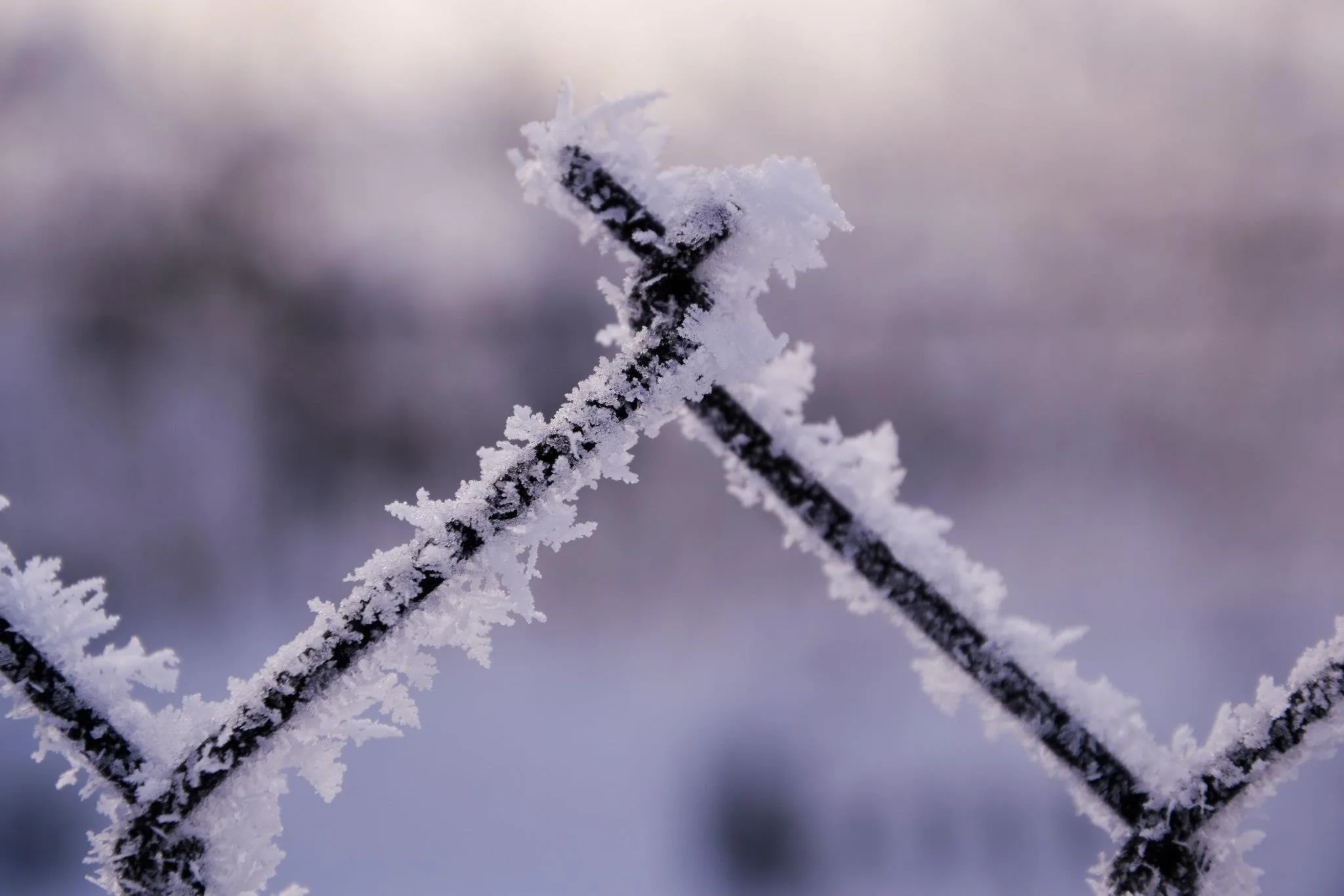 25.08.2012 - 17.05.2013 Świat wokół Nas