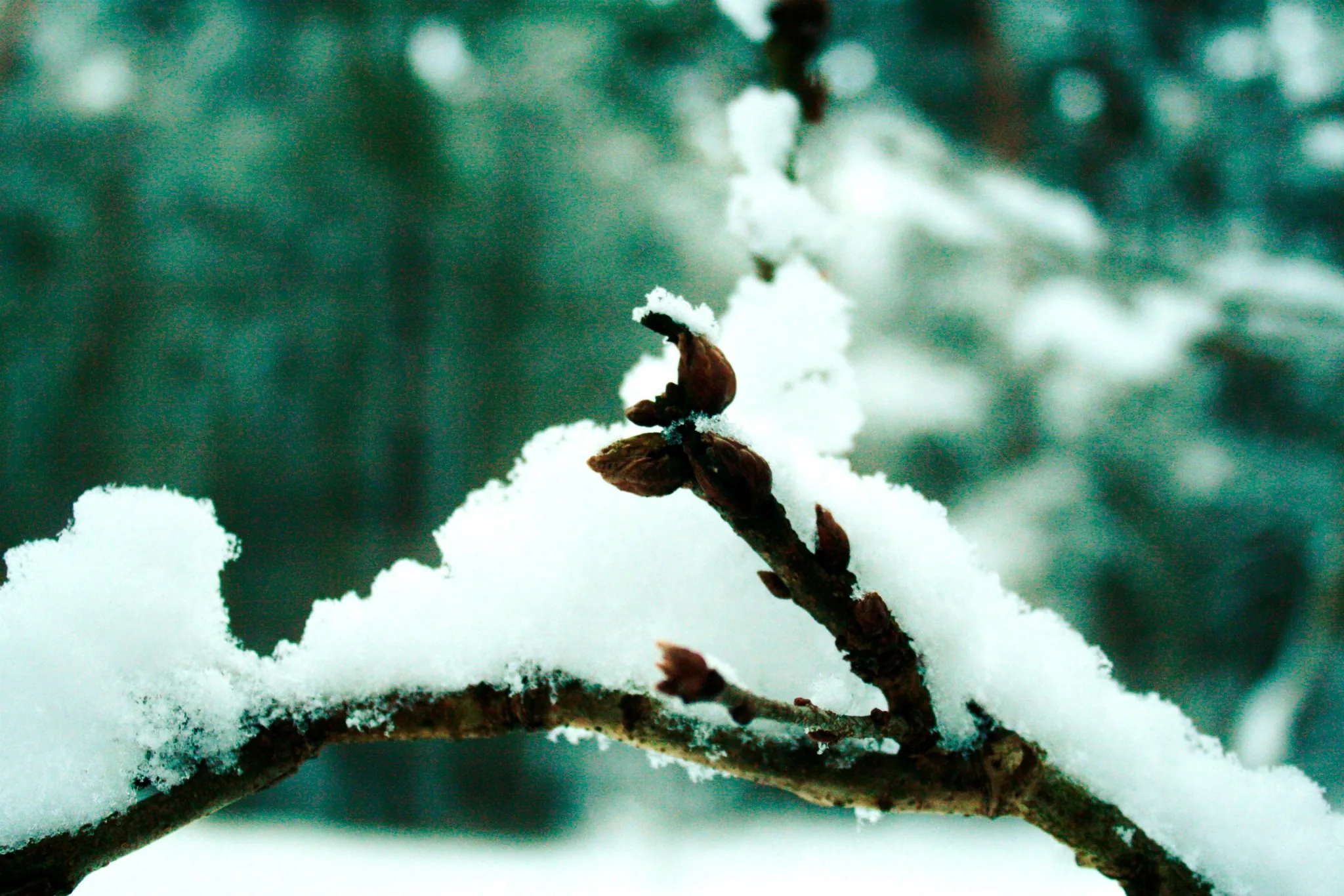 25.08.2012 - 17.05.2013 Świat wokół Nas