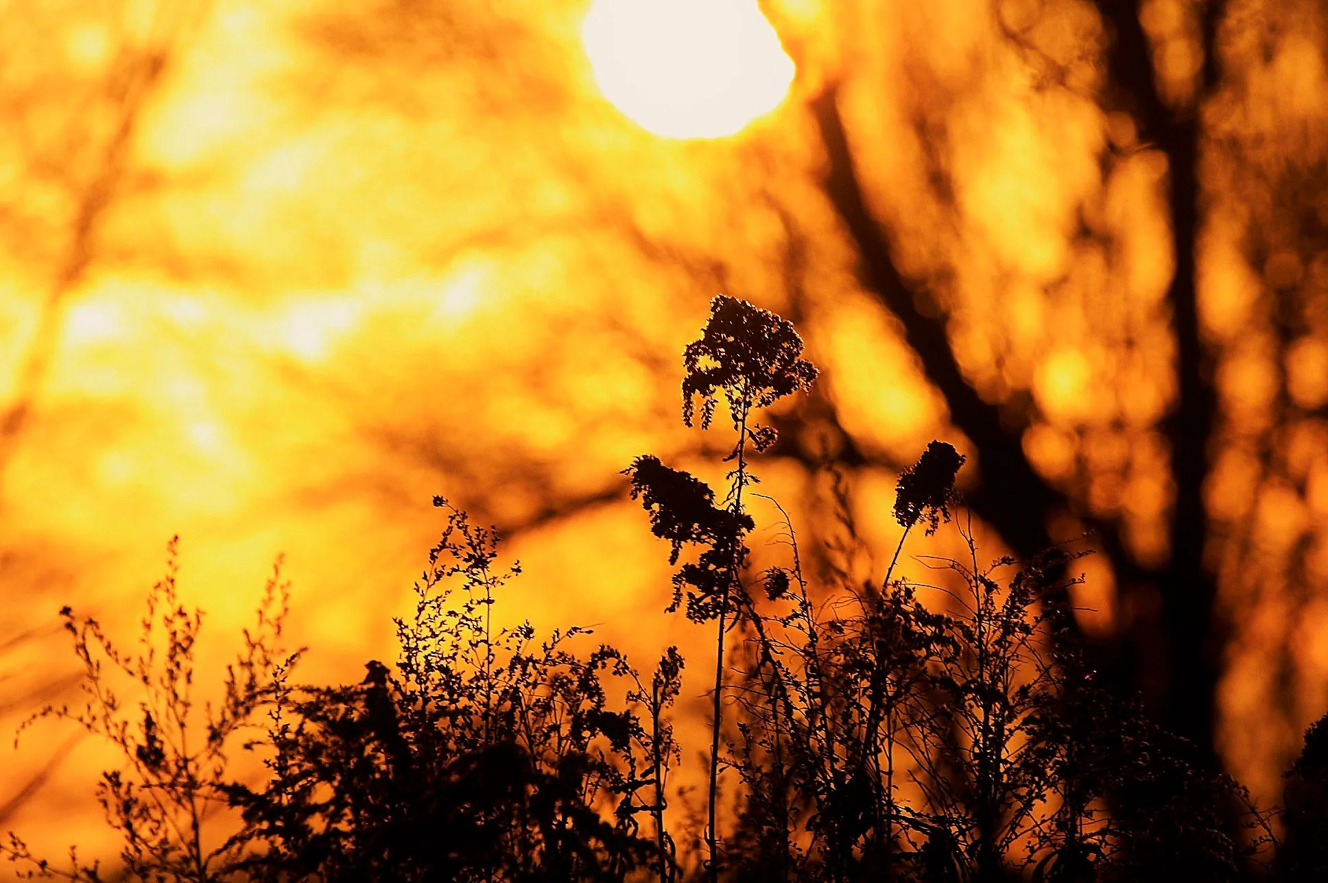 25.08.2012 - 17.05.2013 Świat wokół Nas