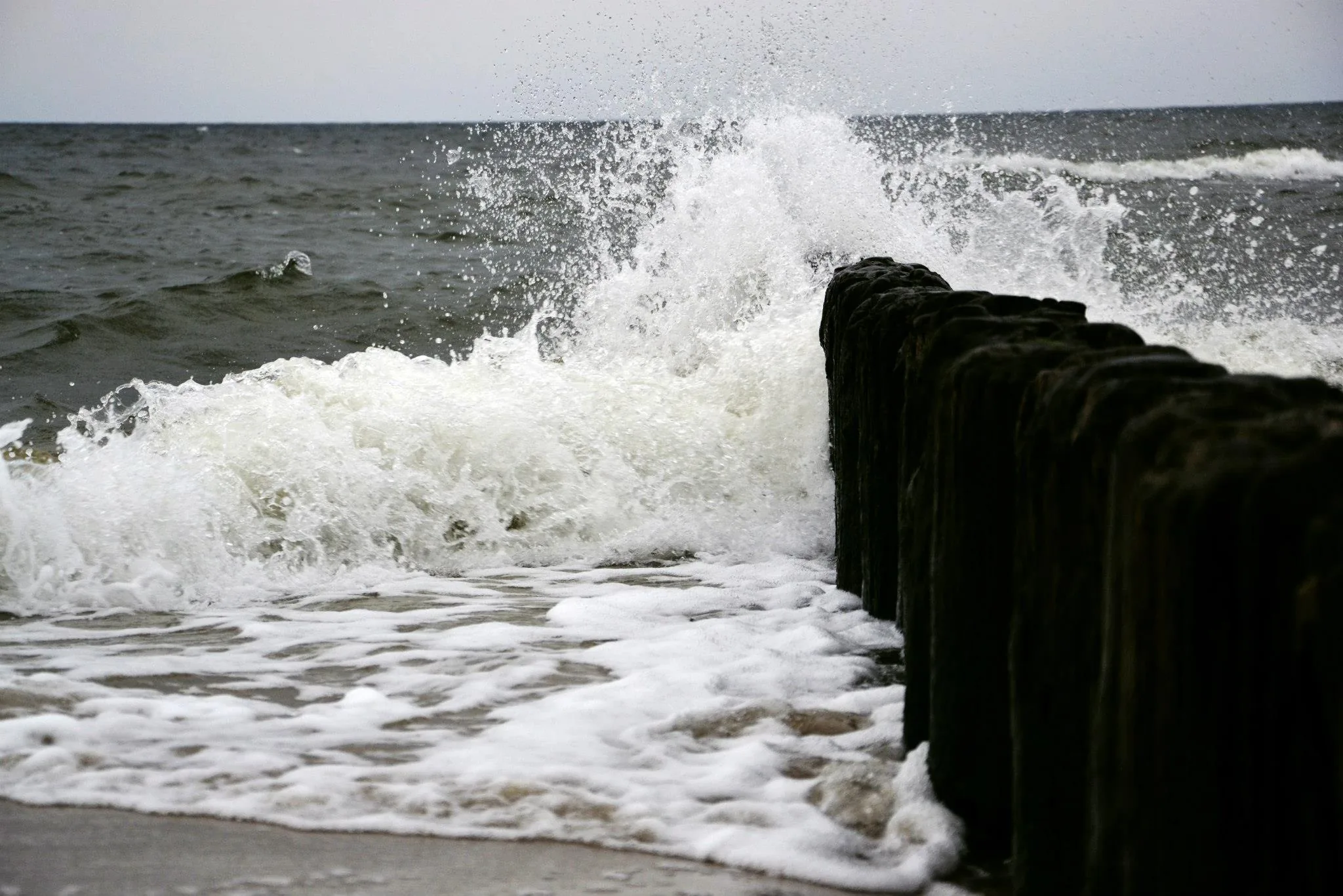 25.08.2012 - 17.05.2013 Świat wokół Nas