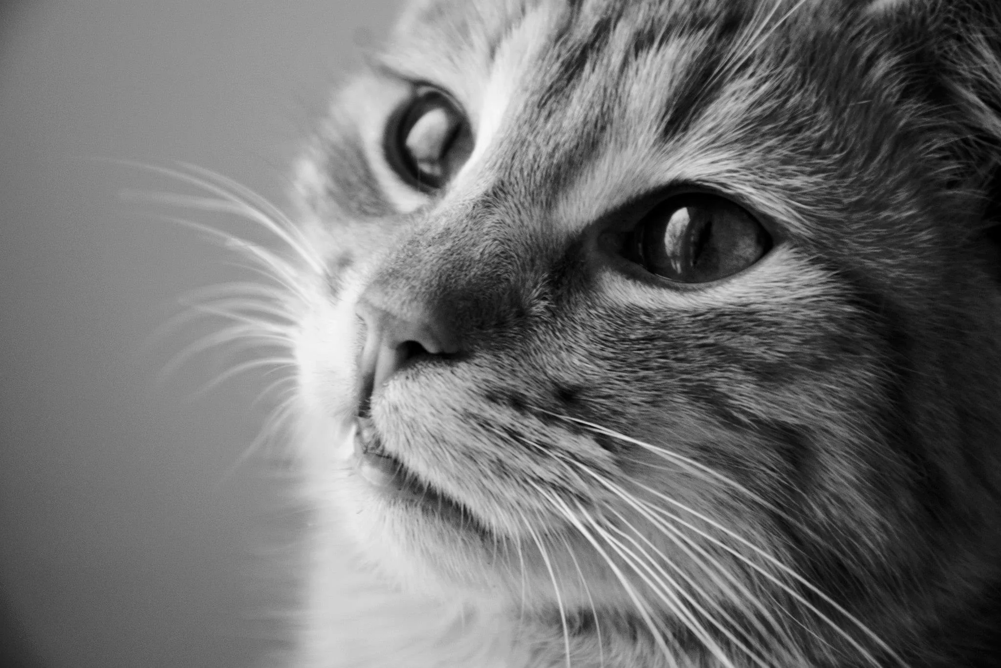 25.08.2012 - 17.05.2013 Świat wokół Nas