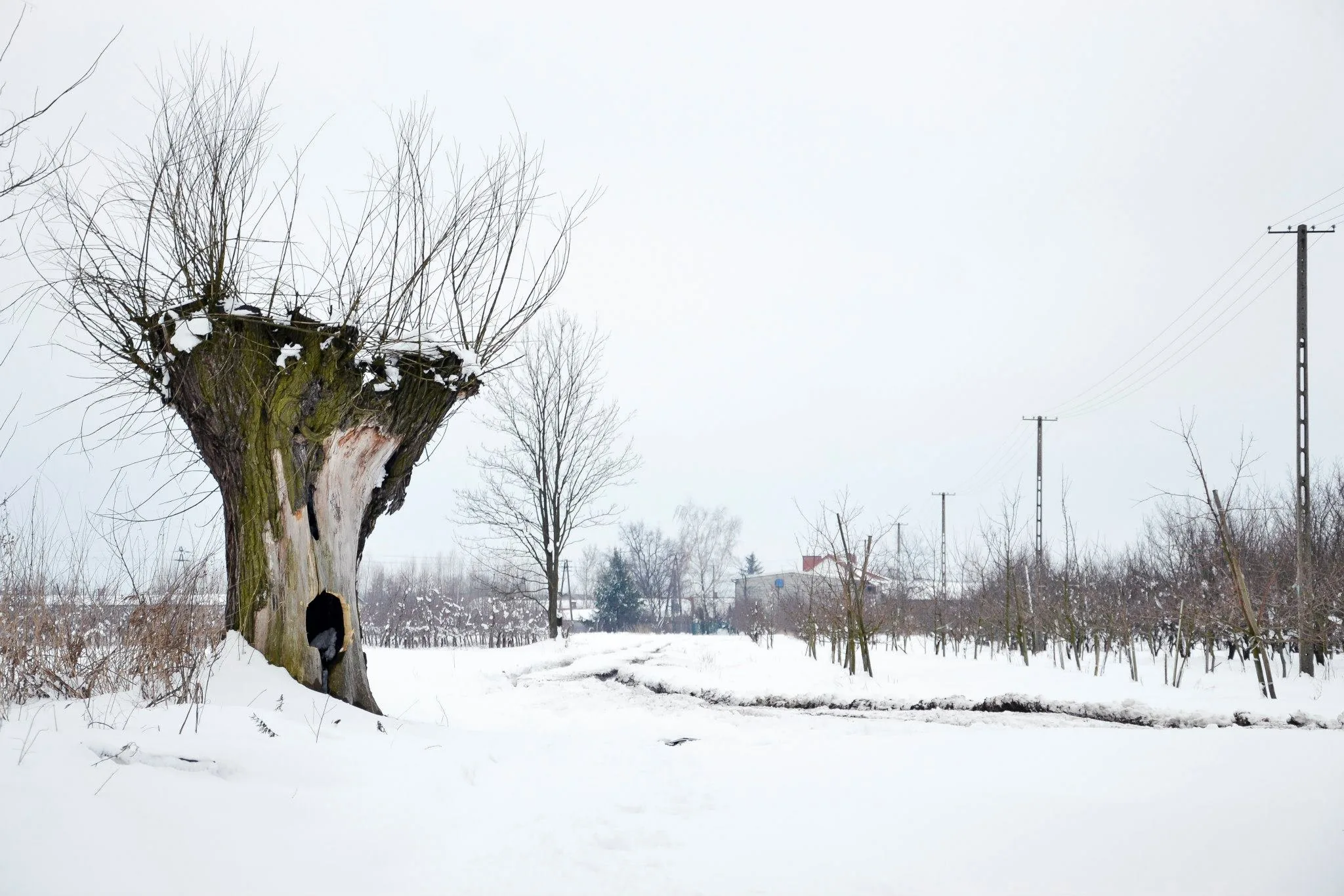 25.08.2012 - 17.05.2013 Świat wokół Nas