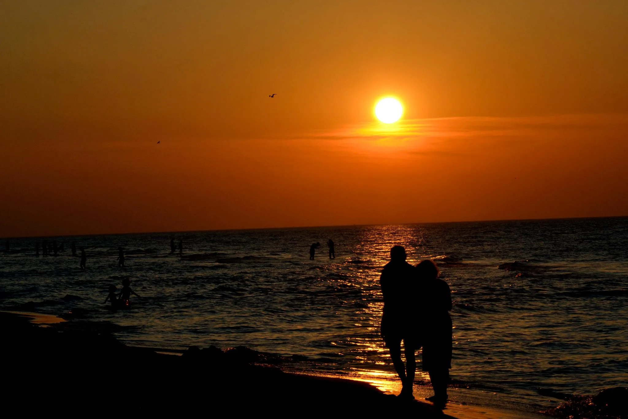 25.08.2012 - 17.05.2013 Świat wokół Nas