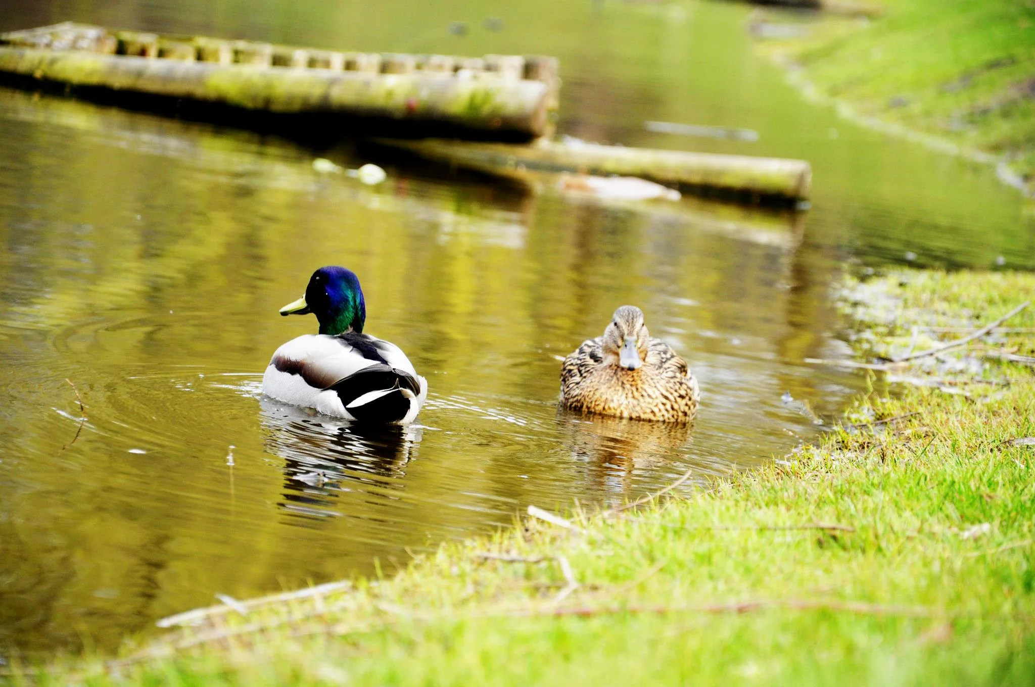 25.08.2012 - 17.05.2013 Świat wokół Nas