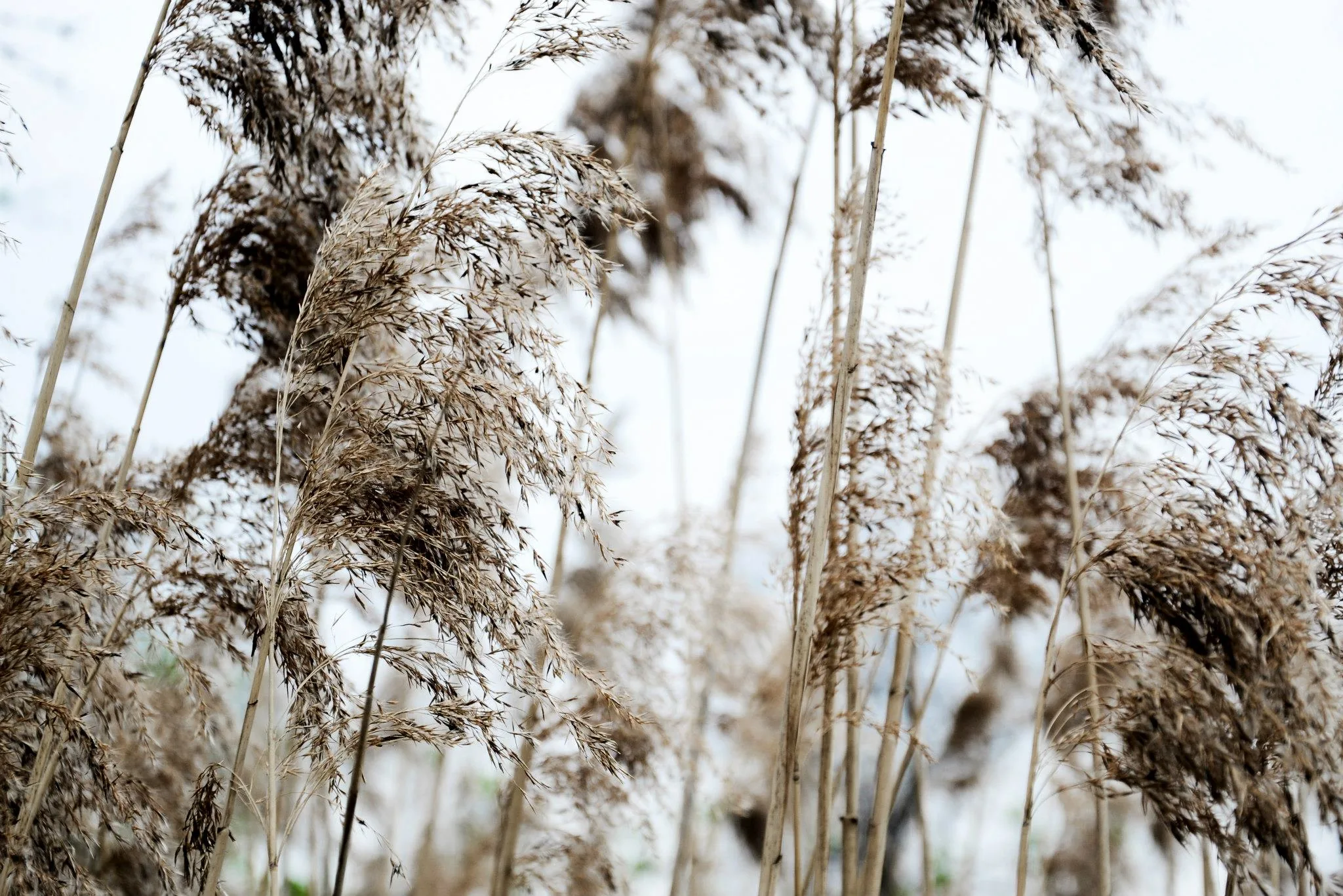25.08.2012 - 17.05.2013 Świat wokół Nas