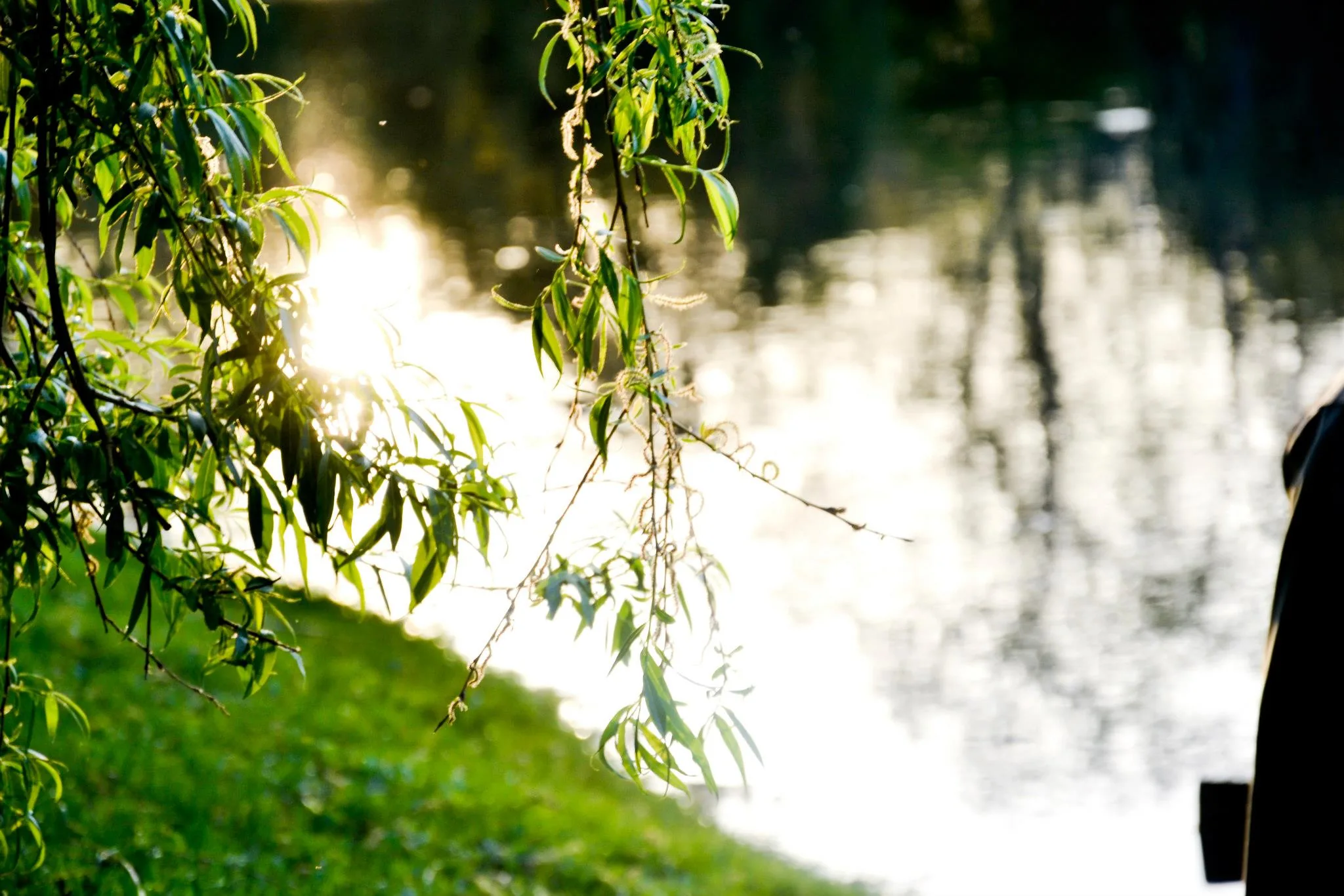 25.08.2012 - 17.05.2013 Świat wokół Nas