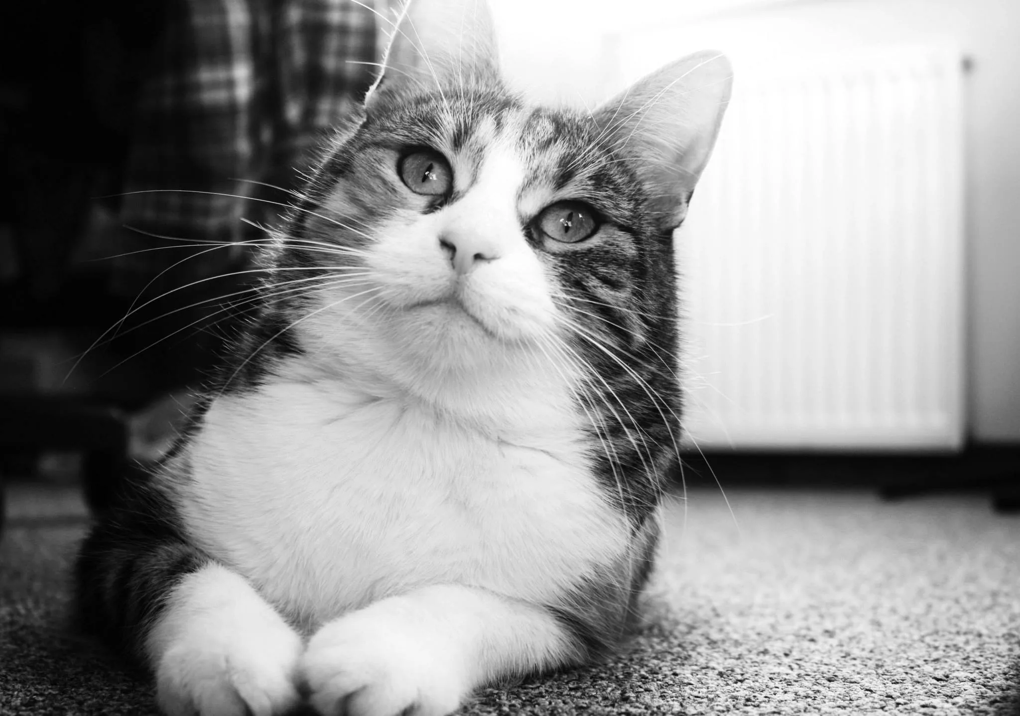 25.08.2012 - 17.05.2013 Świat wokół Nas