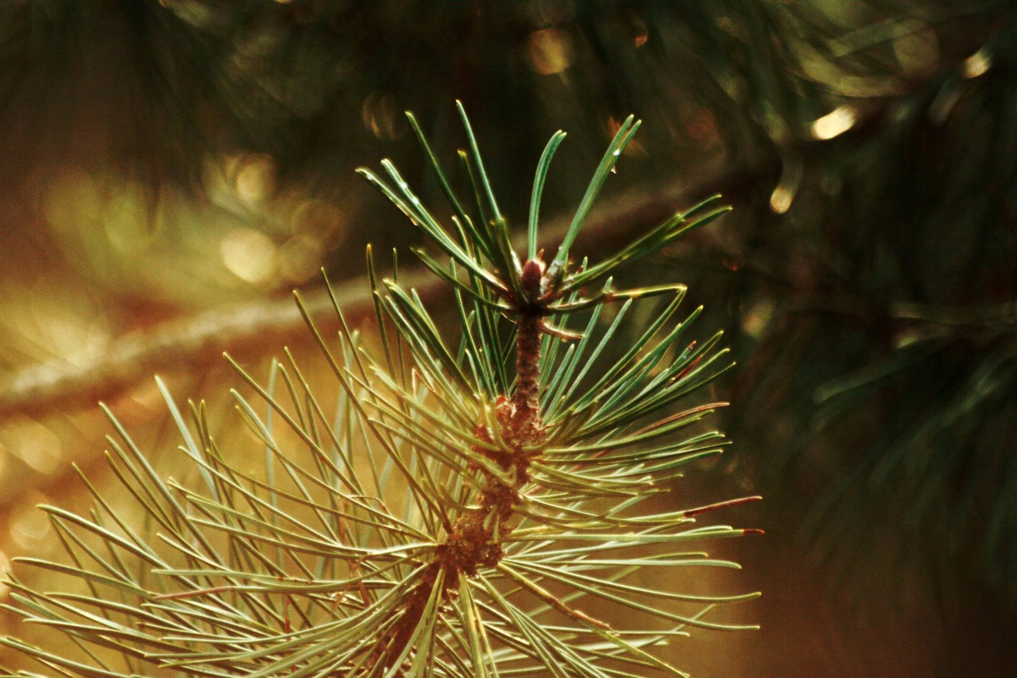 25.08.2012 - 17.05.2013 Świat wokół Nas