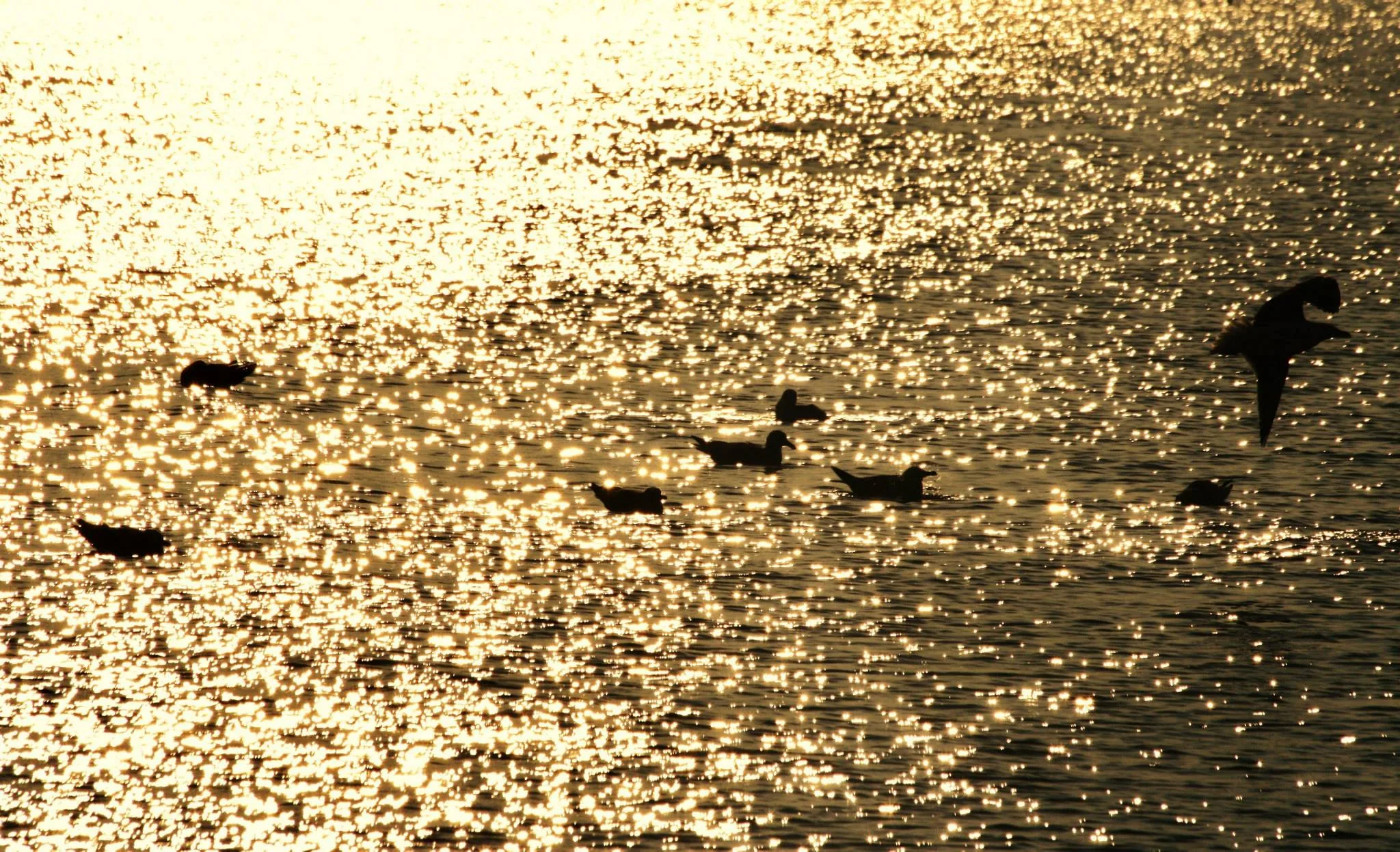 25.08.2012 - 17.05.2013 Świat wokół Nas