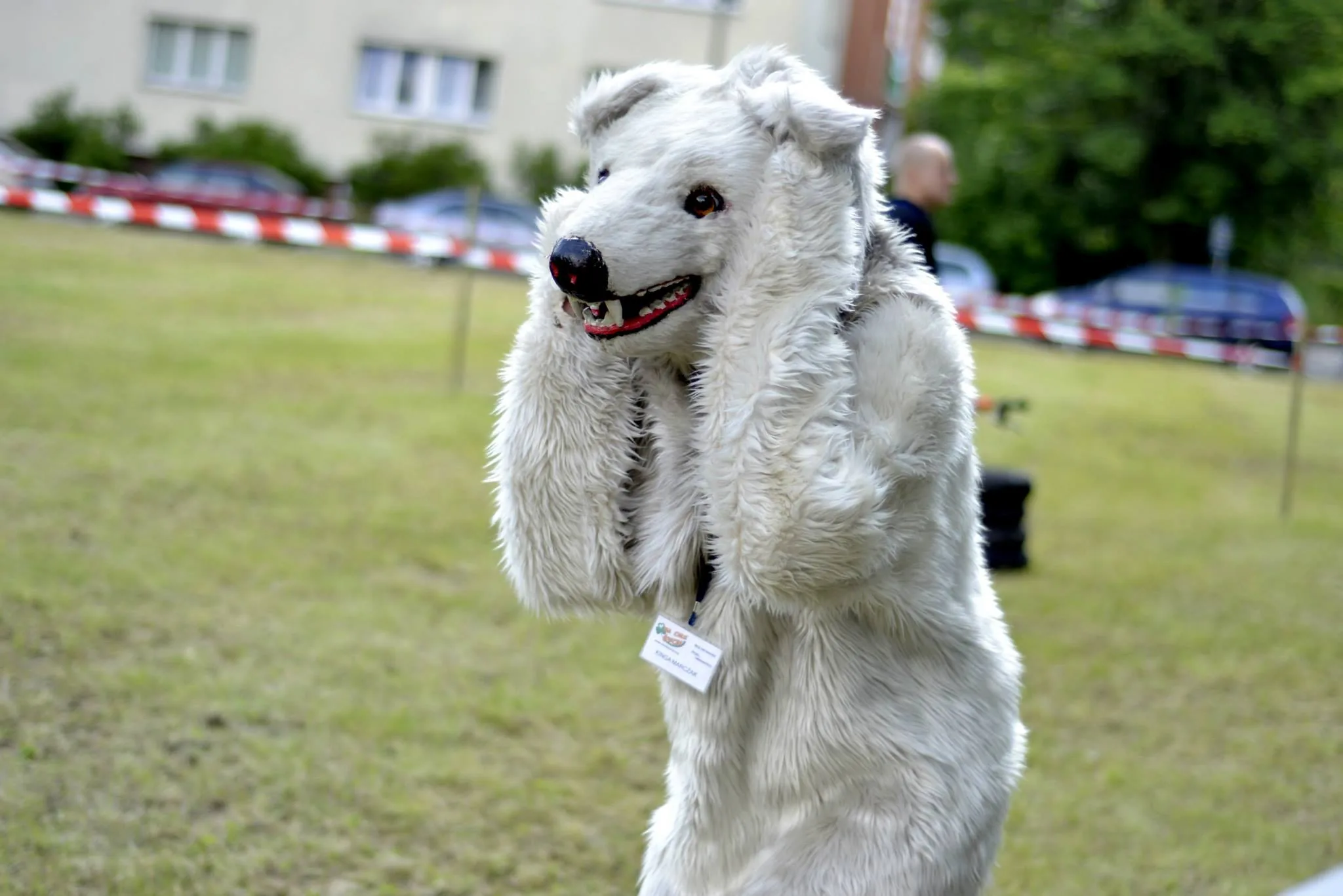09.06.2013 Piknik Aktywnie Sportowo w Warszawie