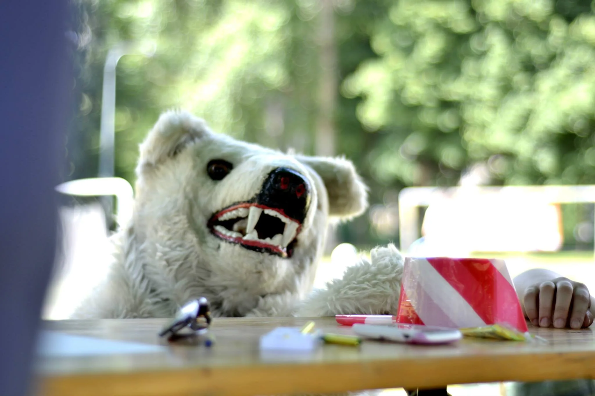 09.06.2013 Piknik Aktywnie Sportowo w Warszawie