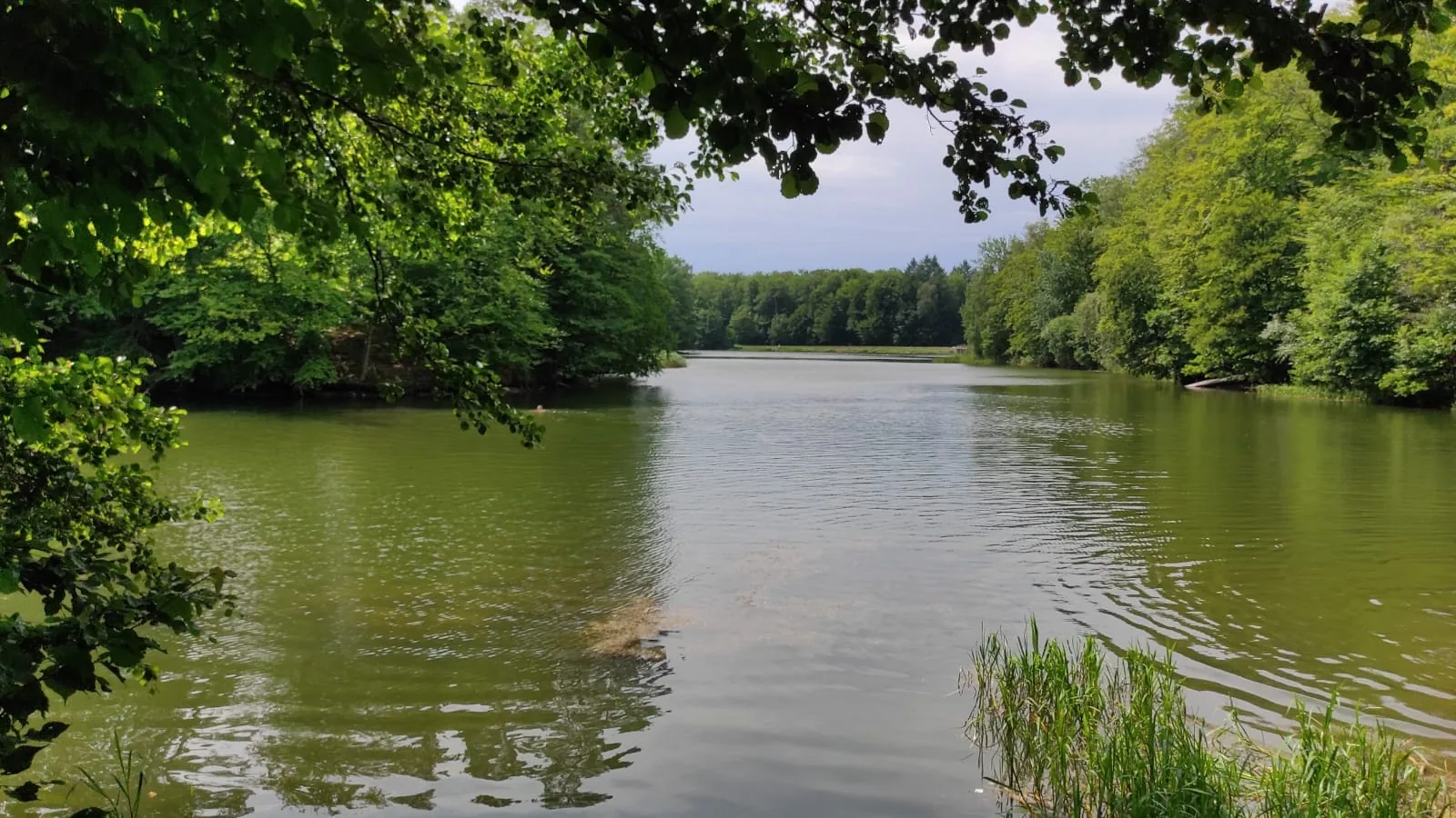 04.07 - 14.07.2023 Obóz rekreacja, survival, motocross w Ogrodnikach