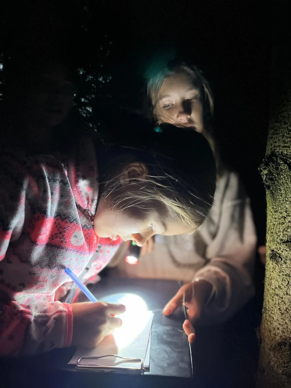 03.08 - 13.08.2023 Obóz rekreacja, survival, motocross w Ogrodnikach