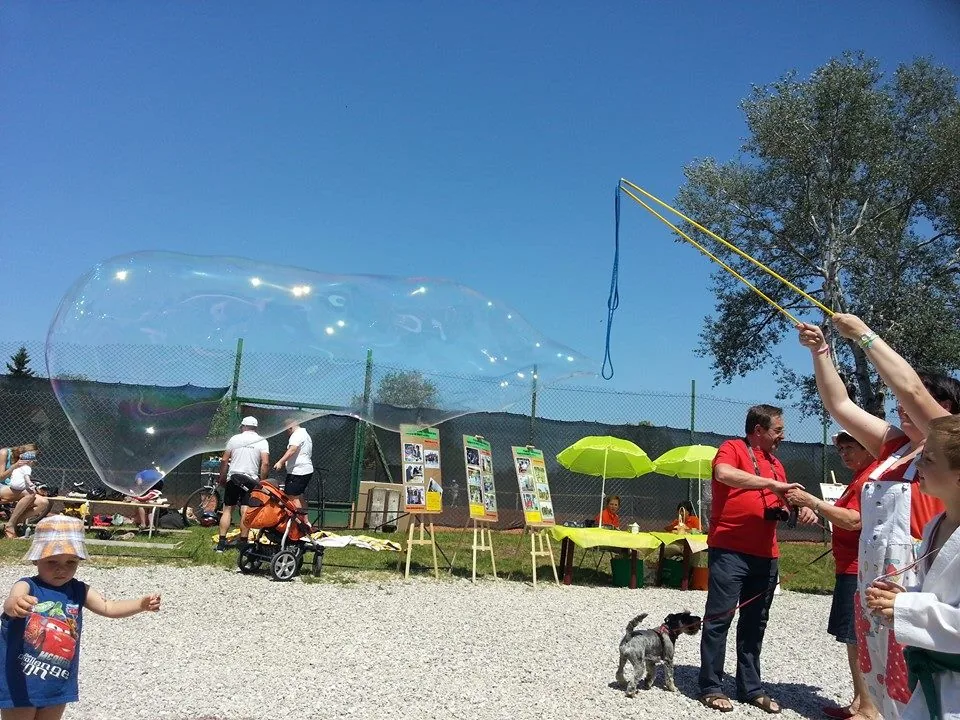 08.06.2014 I edycja Pikniku Pożyteczny Mokotów w Warszawie