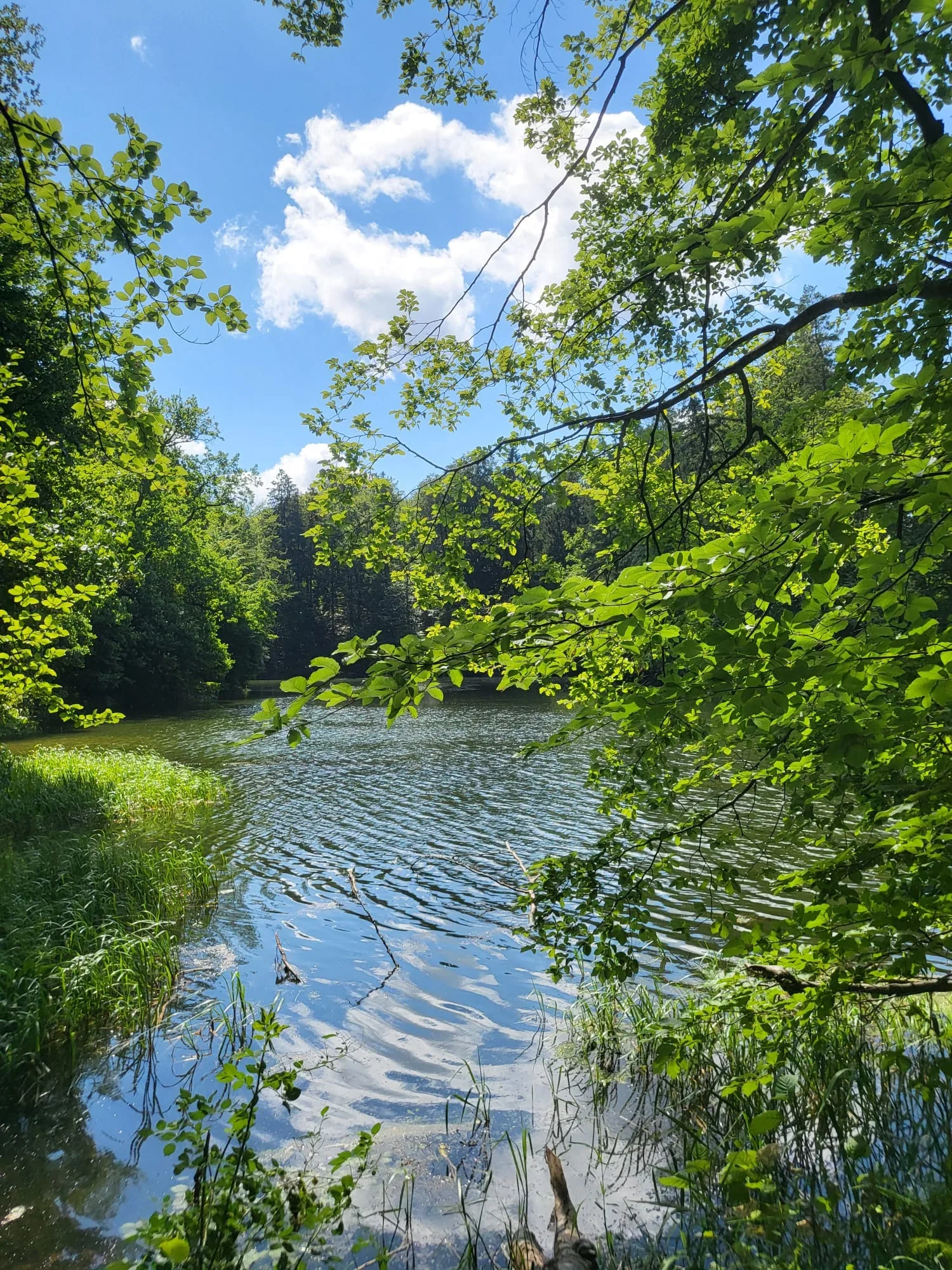 12.07 - 22.07.2024 Obóz rekreacja, survival, motocross w Ogrodnikach