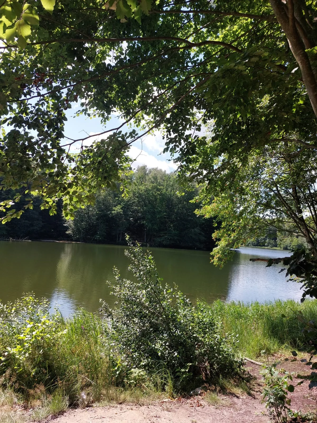 12.07 - 22.07.2024 Obóz rekreacja, survival, motocross w Ogrodnikach